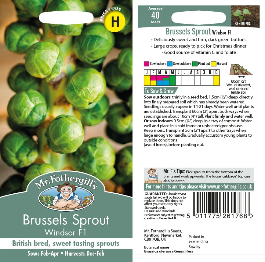 Brussels Sprout Windsor F1