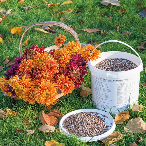 Chrysanthemum Fertiliser