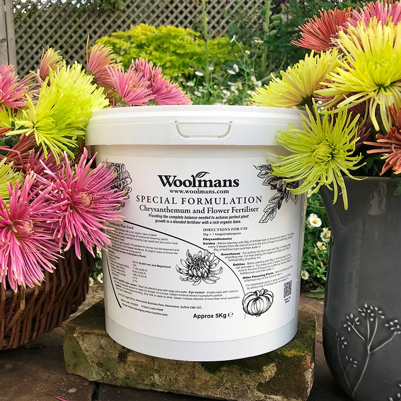 Chrysanthemum and Flower Fertiliser