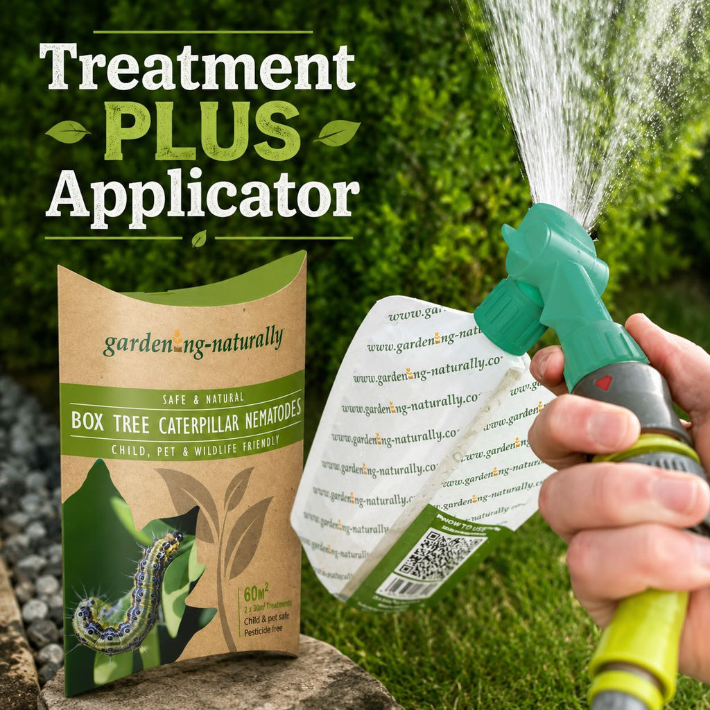 Box Moth Caterpillar Nematode Treatment & Applicator Bundle