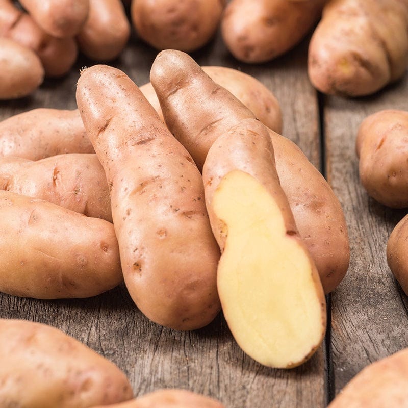 Chef's Culinary Potato Collection