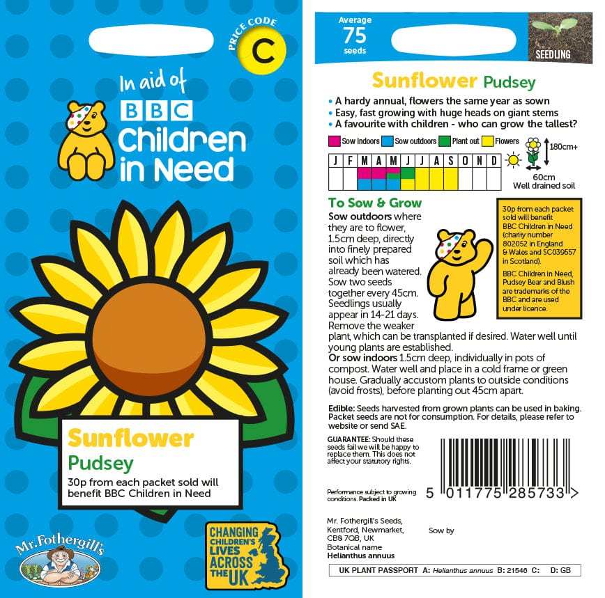 Children in Need Sunflower Pudsey
