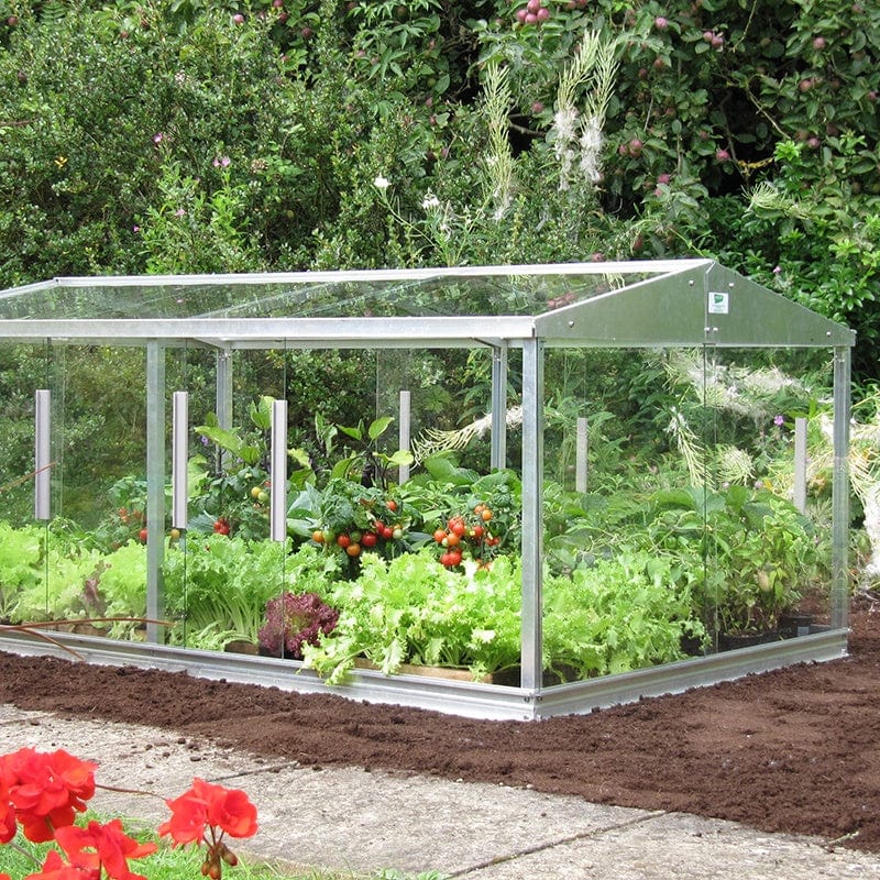 Cold Frame