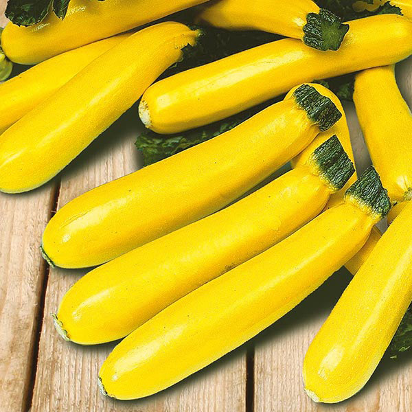 Yellow zucchinis on a wooden surface