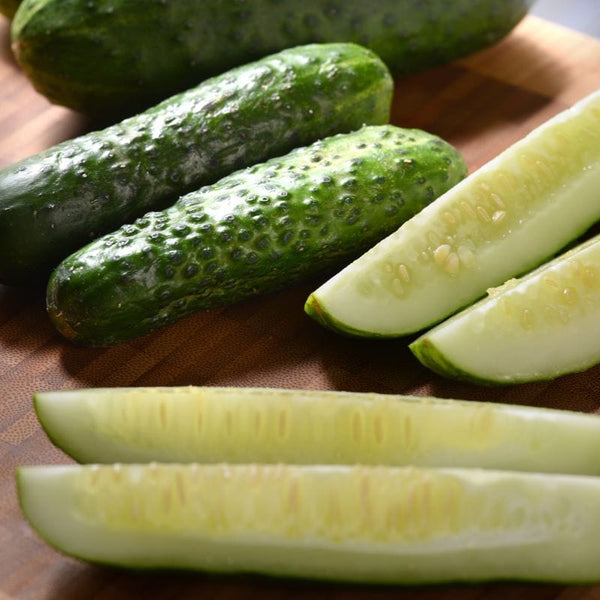 Cucumber (Gherkin) Gherking Seeds from Mr Fothergill's.
