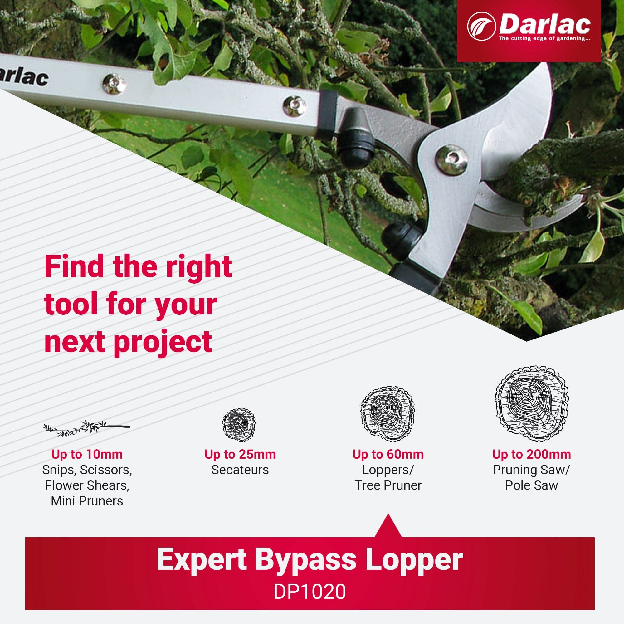 Darlac Expert Bypass Lopper