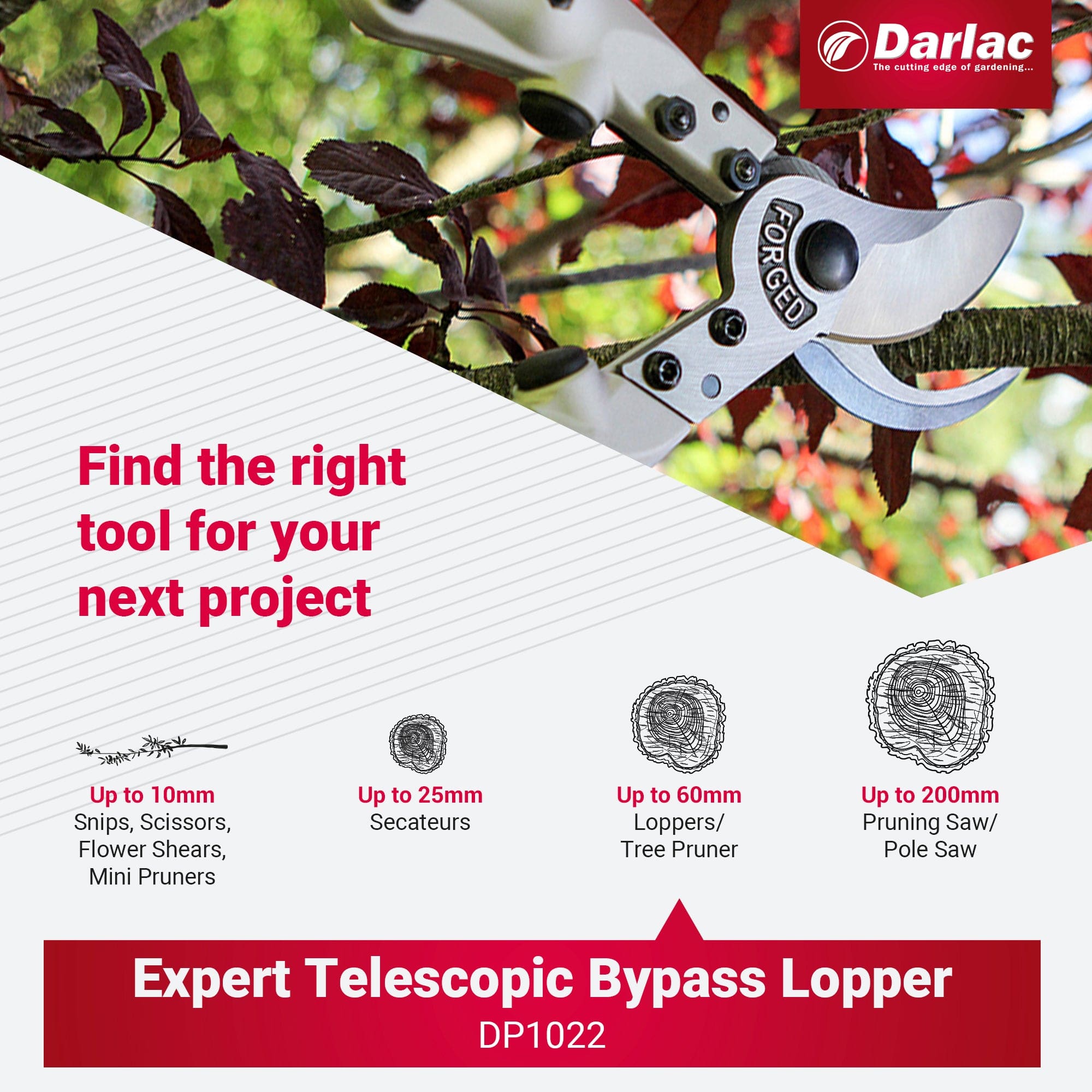 Darlac Expert Telescopic Bypass Lopper