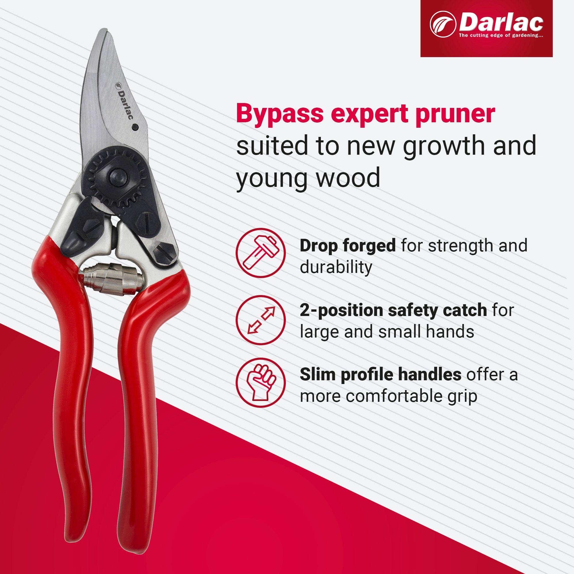 Darlac Expert Fine Bypass Secateur