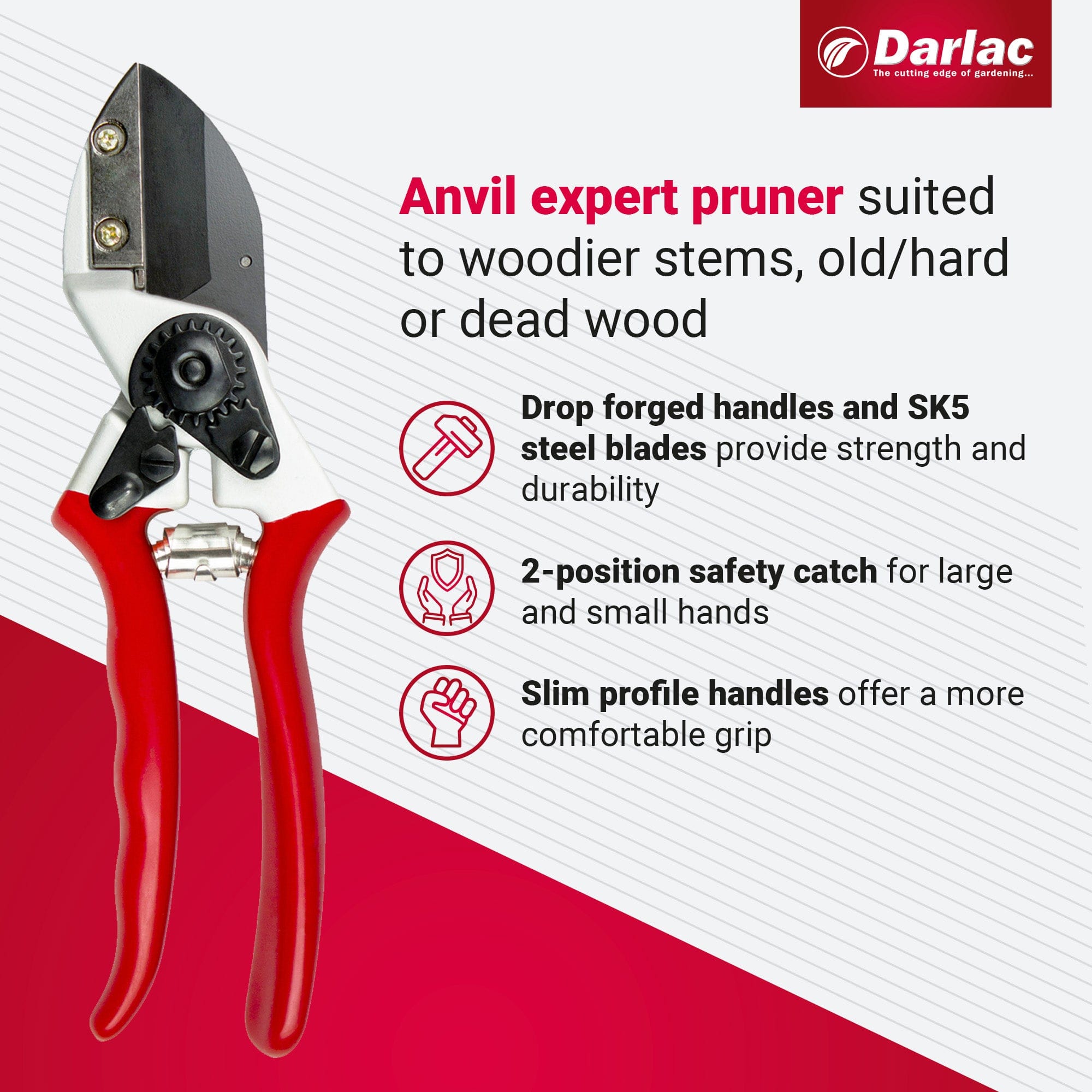 Darlac Expert Anvil Secateur