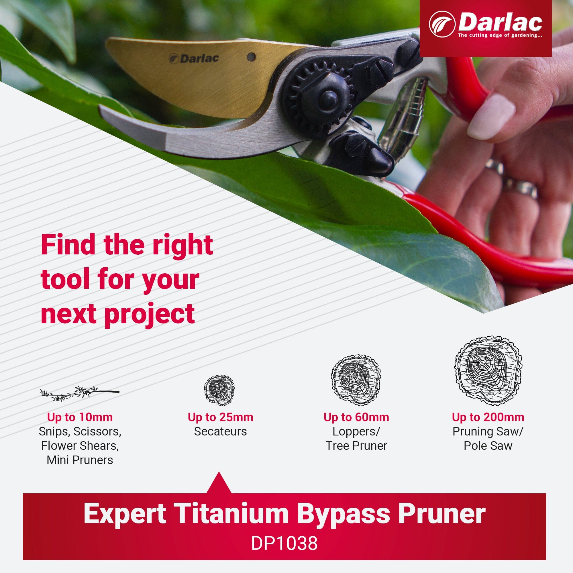Darlac Expert Titanium Bypass Secateur
