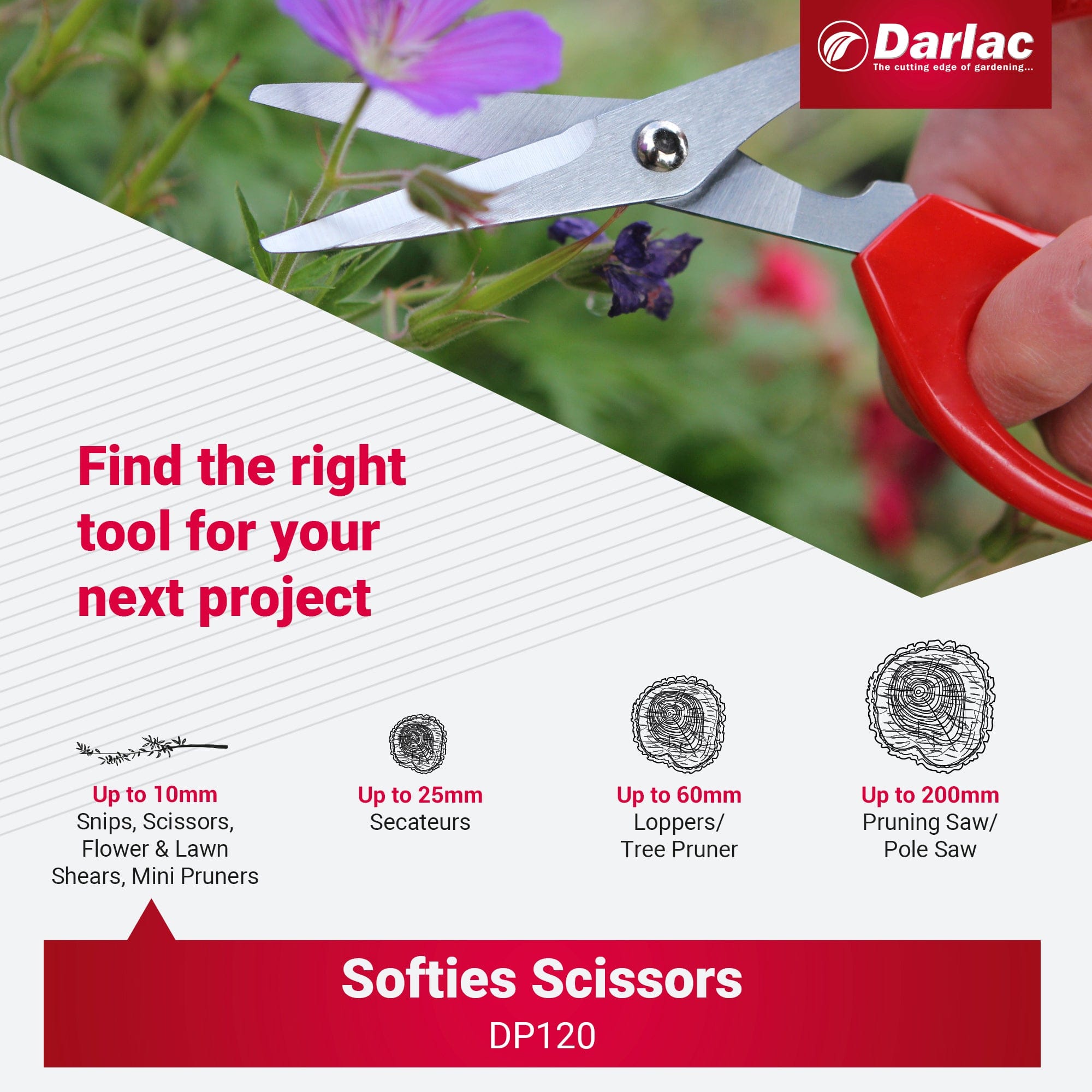 Darlac Softies Scissors