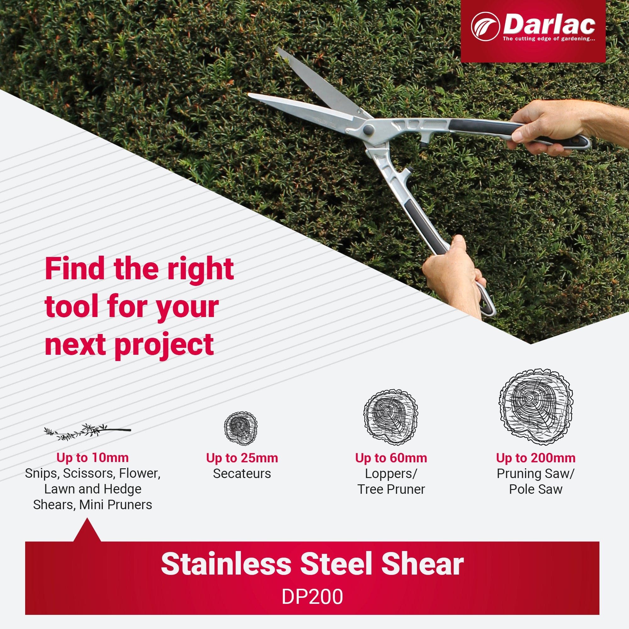Darlac Stainless Steel Shear