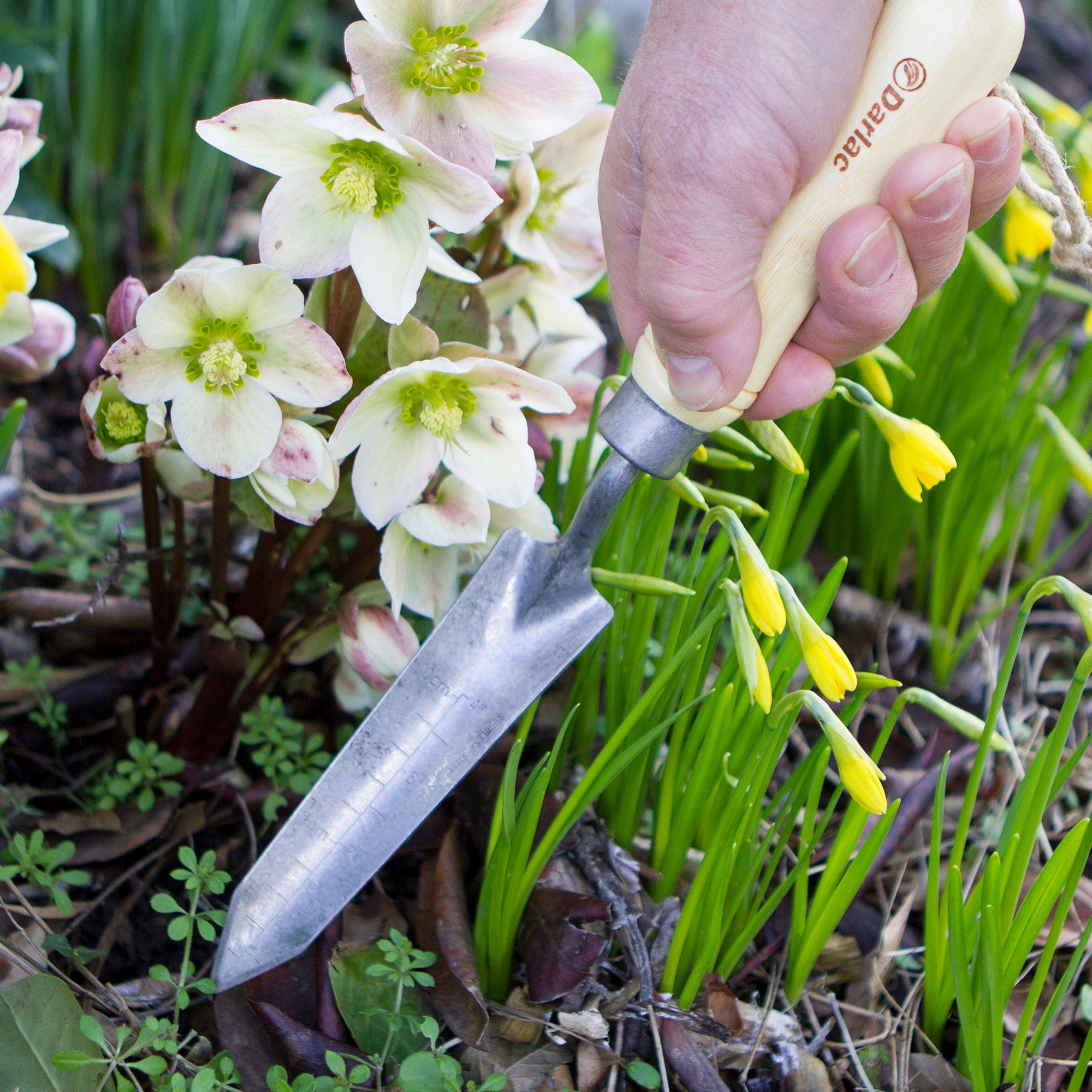 Darlac Bamboo Rockery Trowel