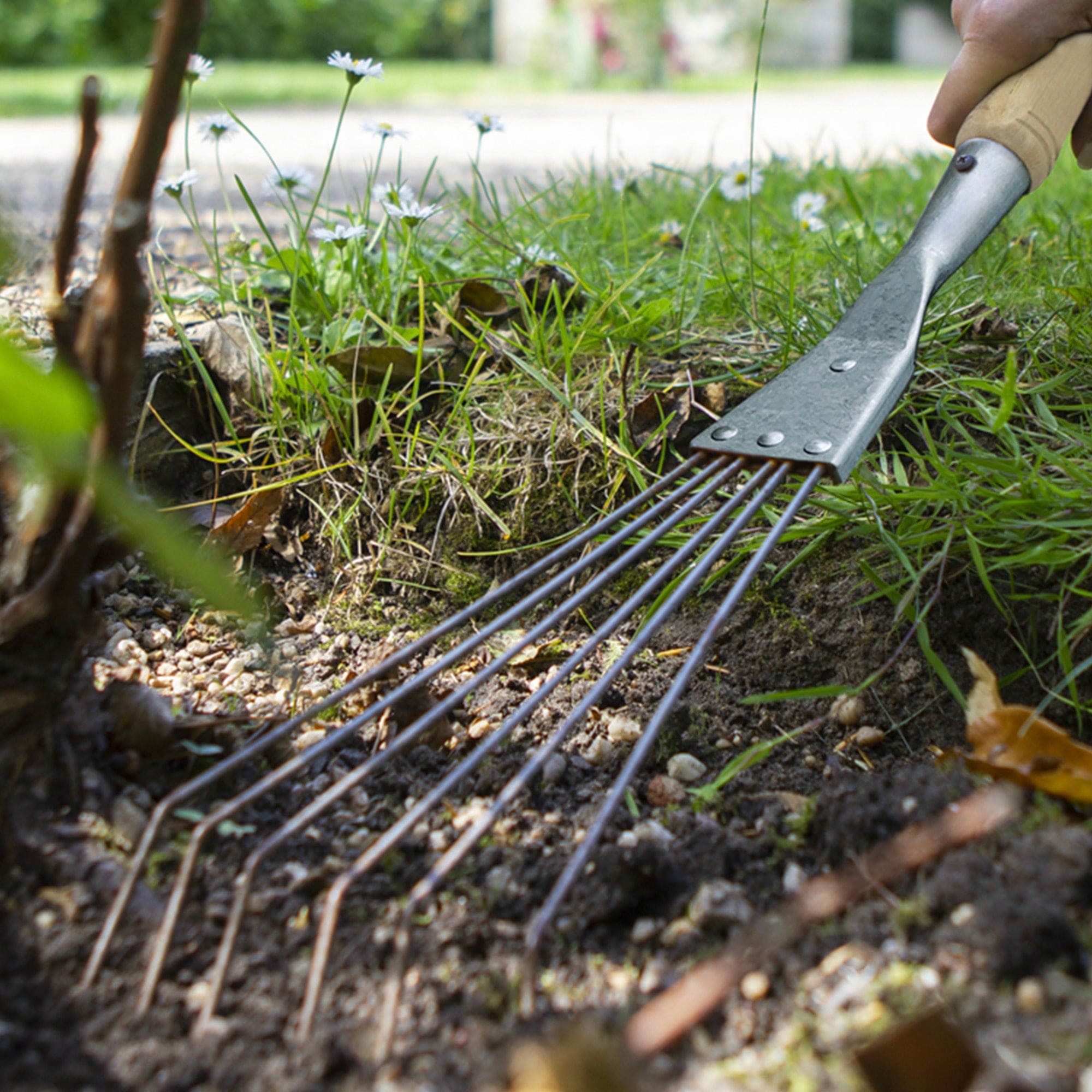Darlac Bamboo Border Rake From Mr Fothergill's Seeds and Plants