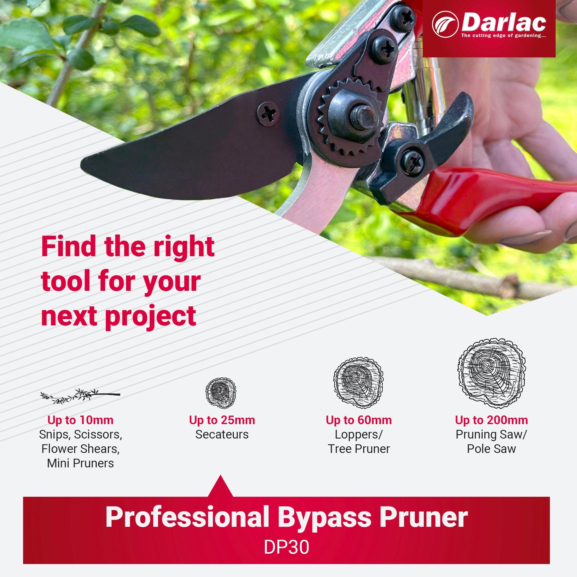 Darlac Professional Secateurs