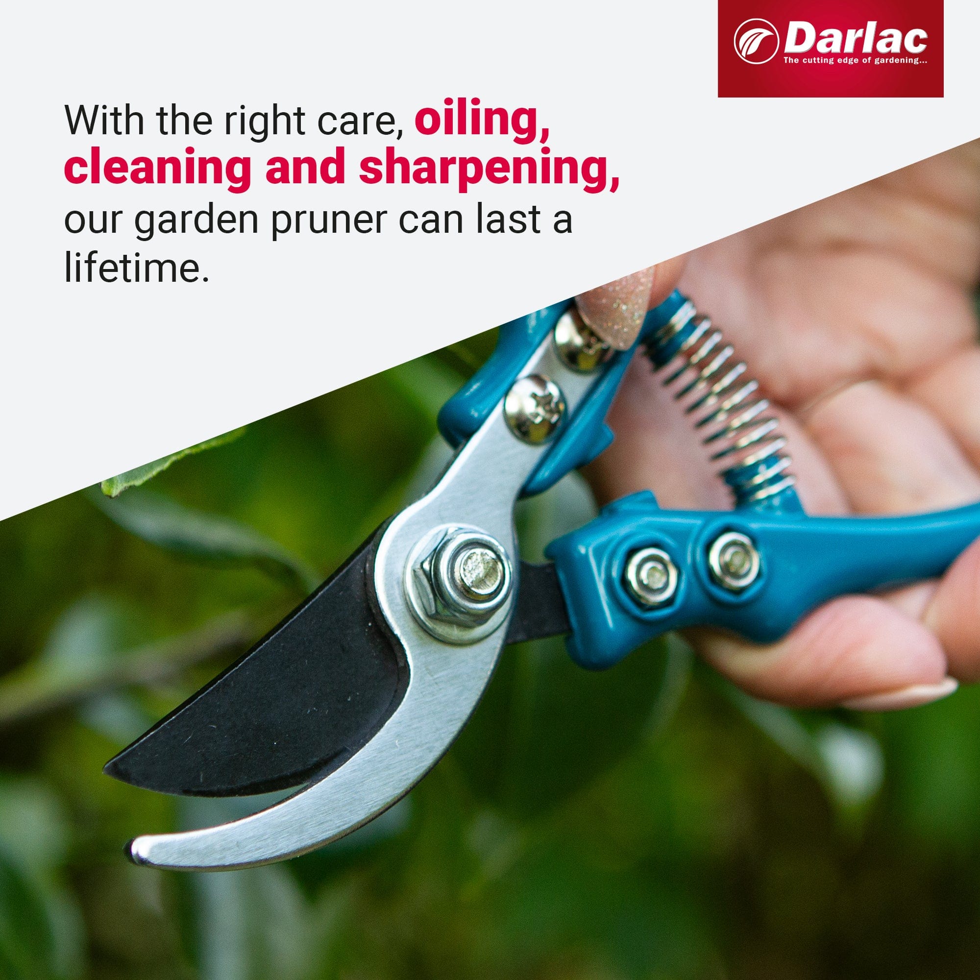 Darlac Ergo Pruner