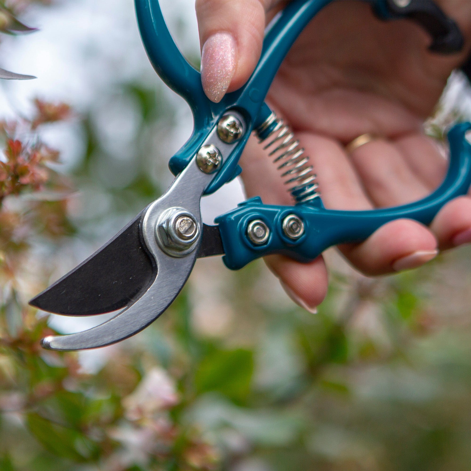 Darlac Ergo Pruner