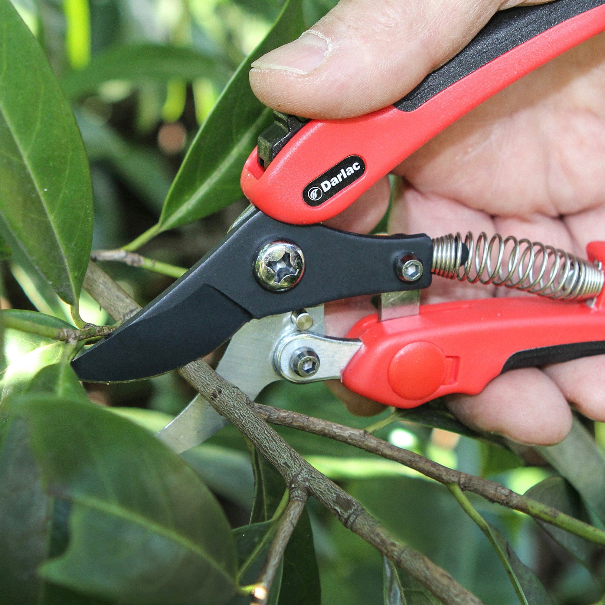 Darlac Compound Action Bypass Secateurs