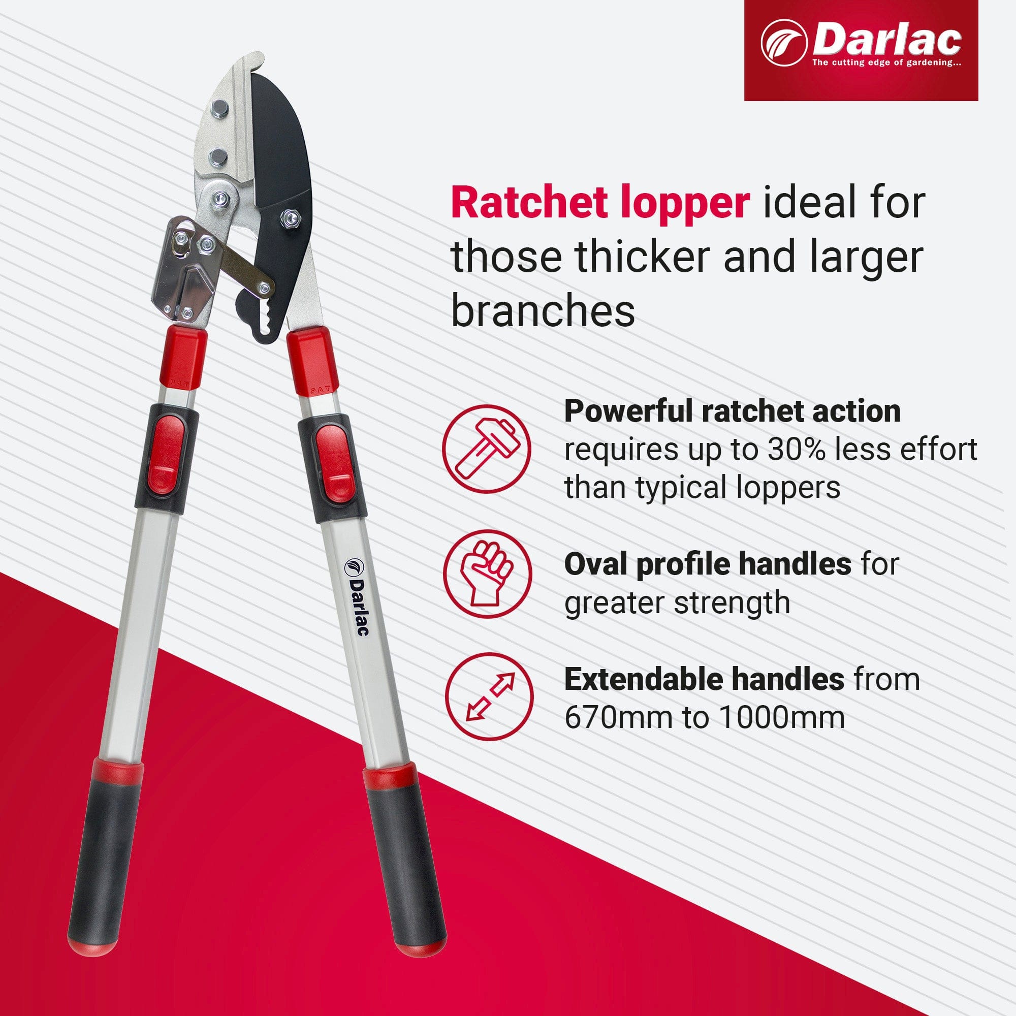 Darlac Telescopic Ratchet Lopper