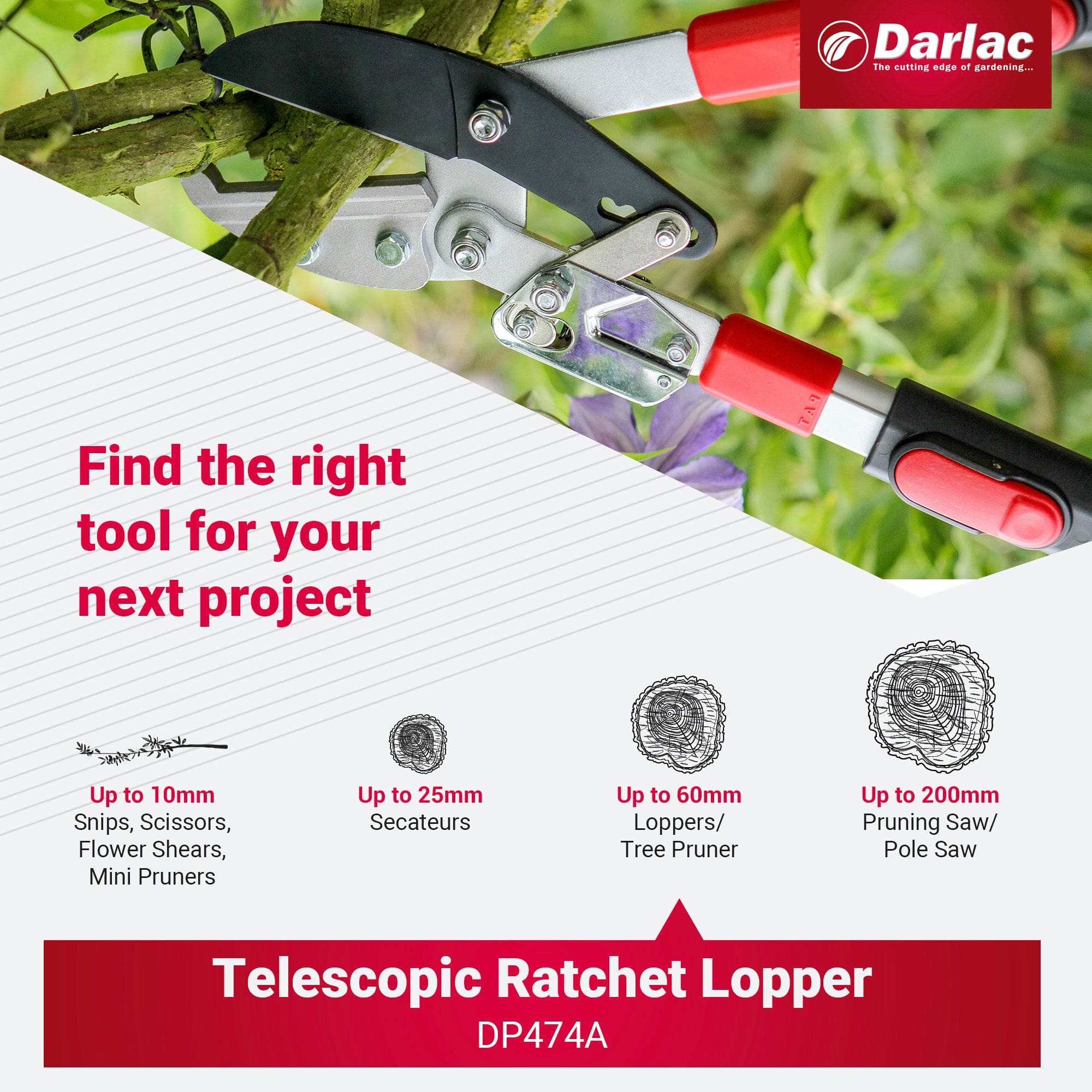 Darlac Telescopic Ratchet Lopper