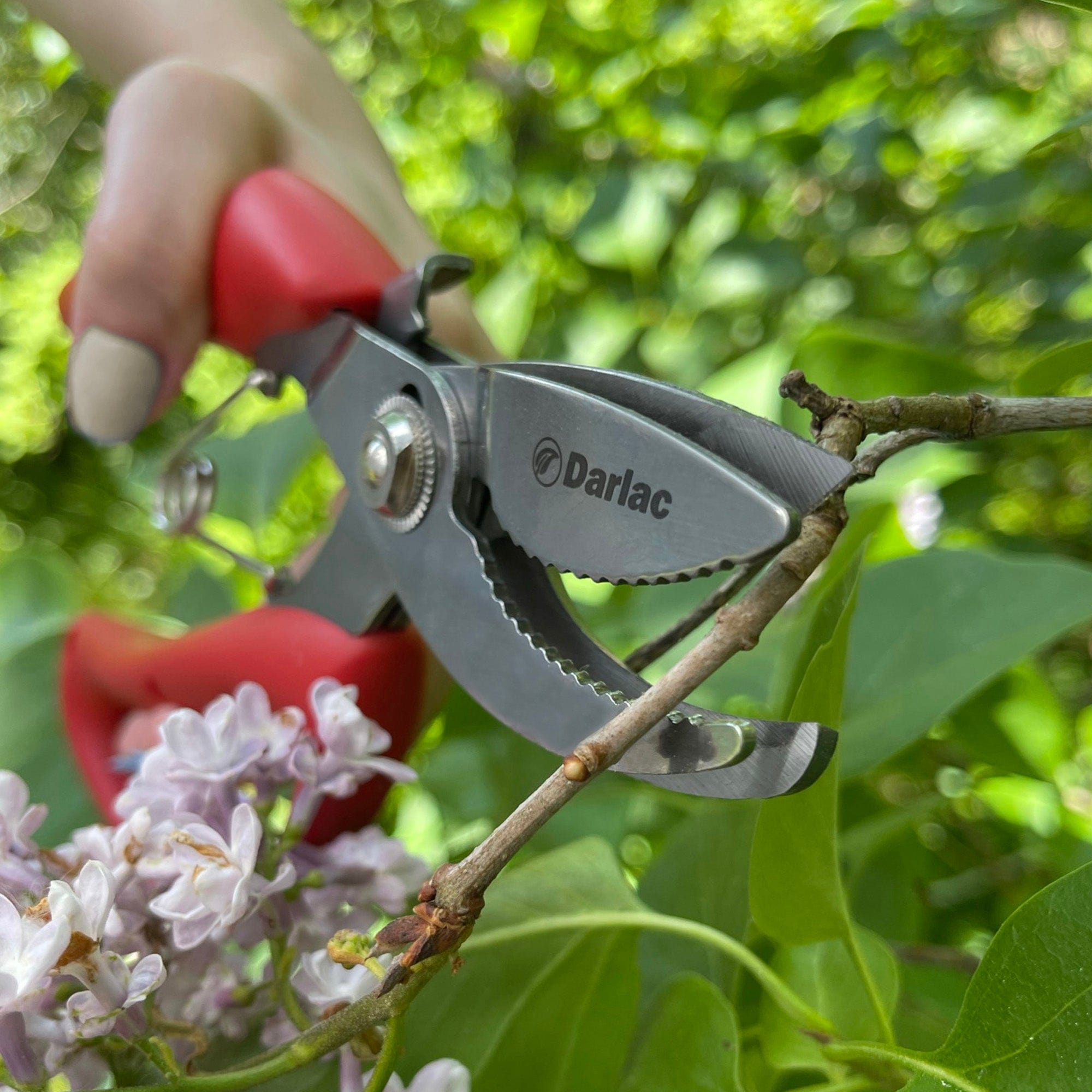 Darlac Cut-n-Hold Bypass Secateurs