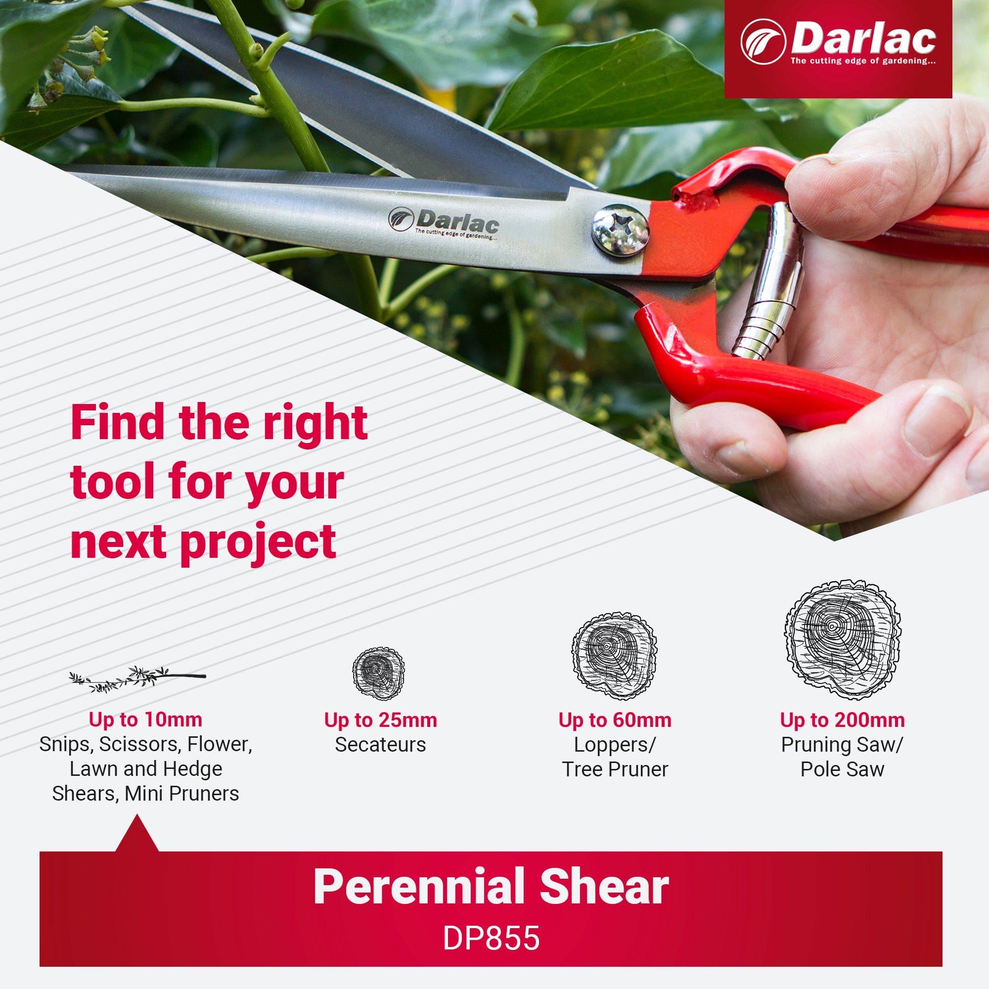 Darlac Perennial Shear