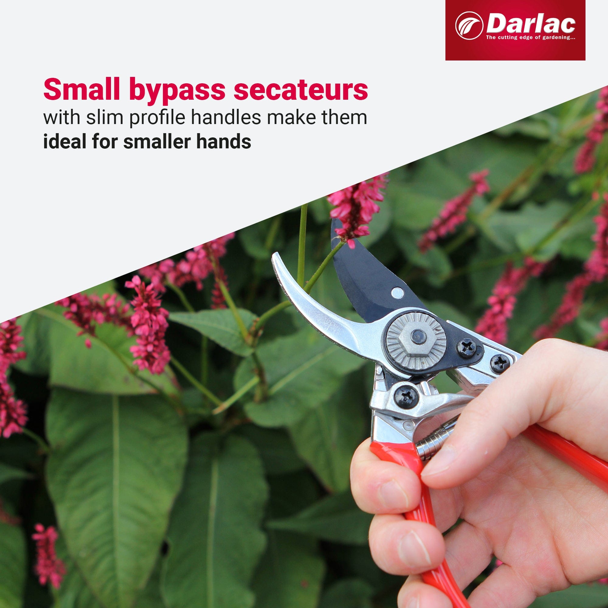 Darlac Small Bypass Pruner