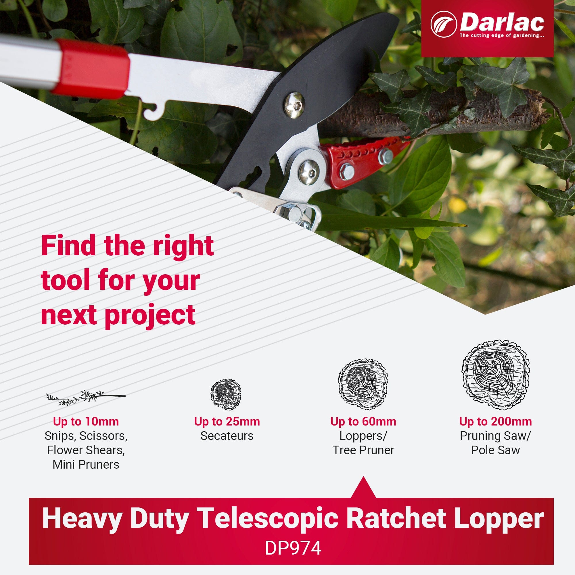 Darlac Heavy Duty Telescopic Ratchet Lopper