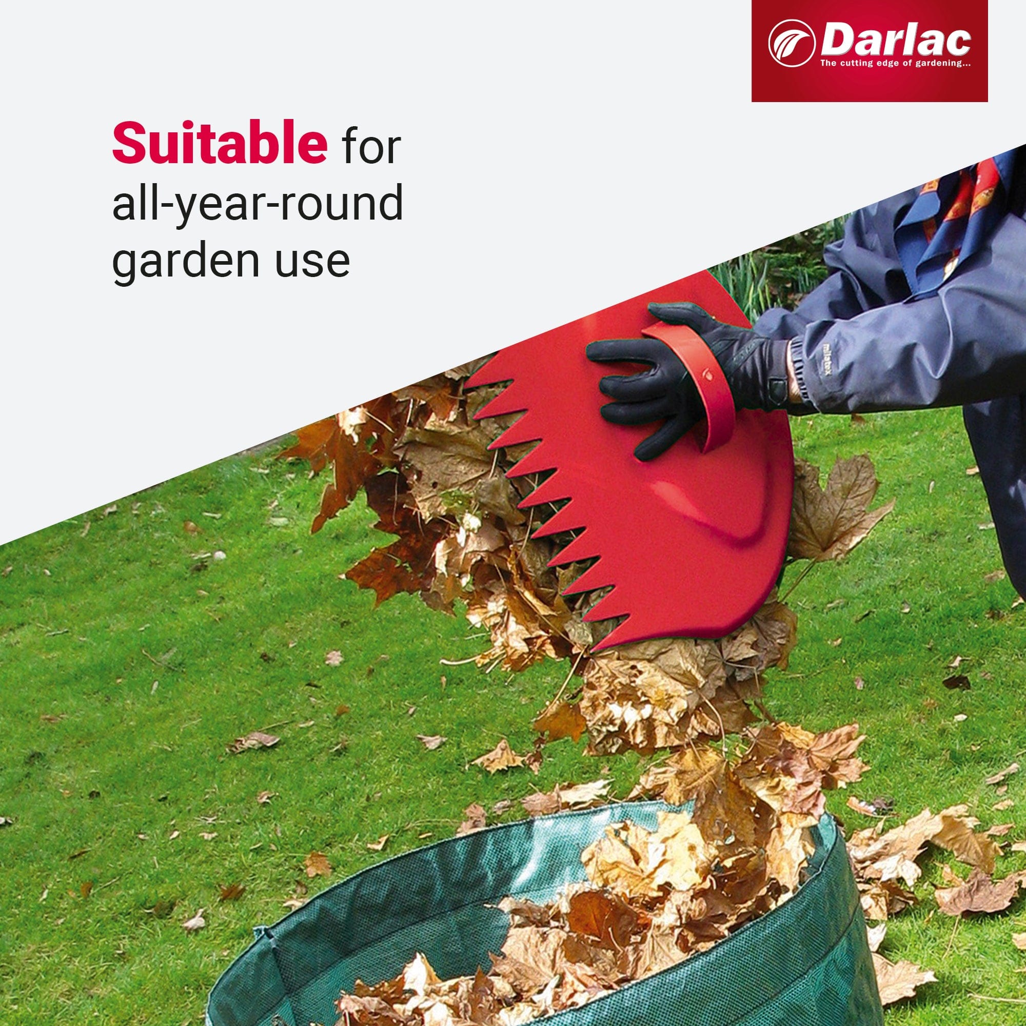Darlac Big Hands Leaf Collectors