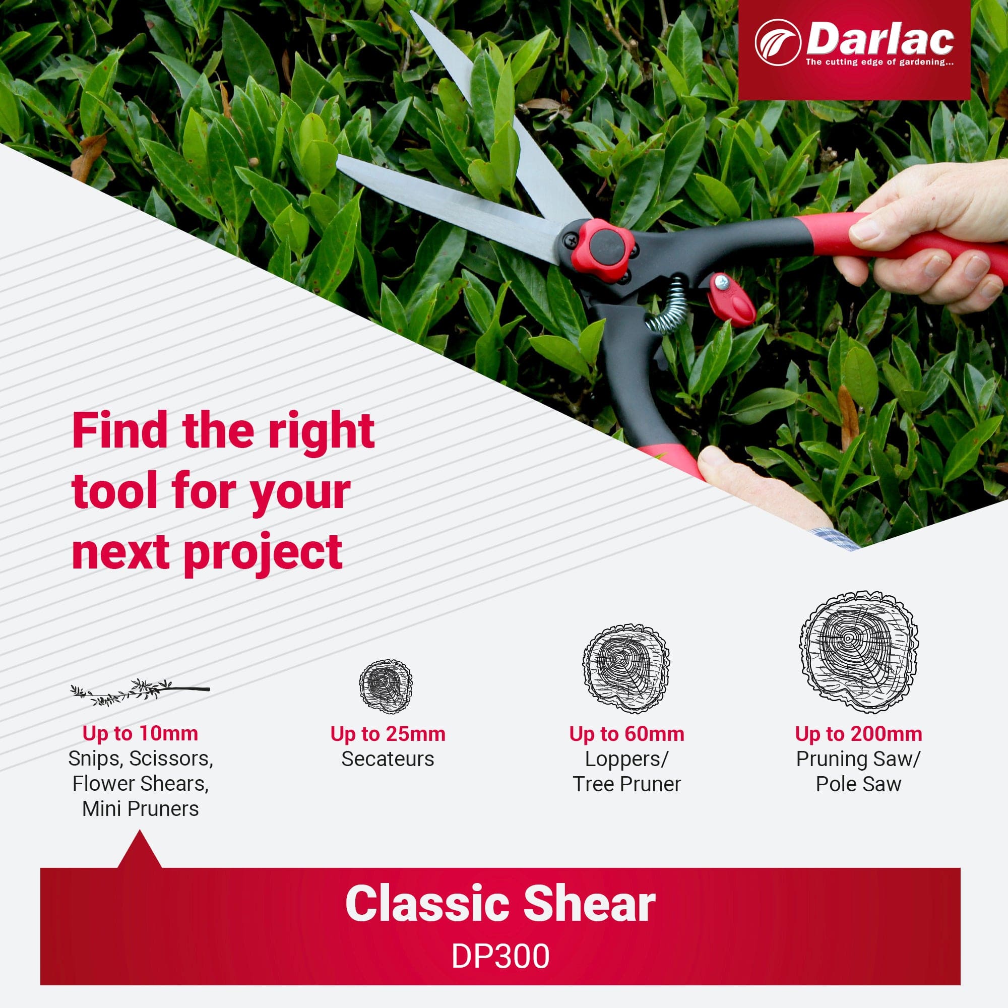 Darlac Classic Shear