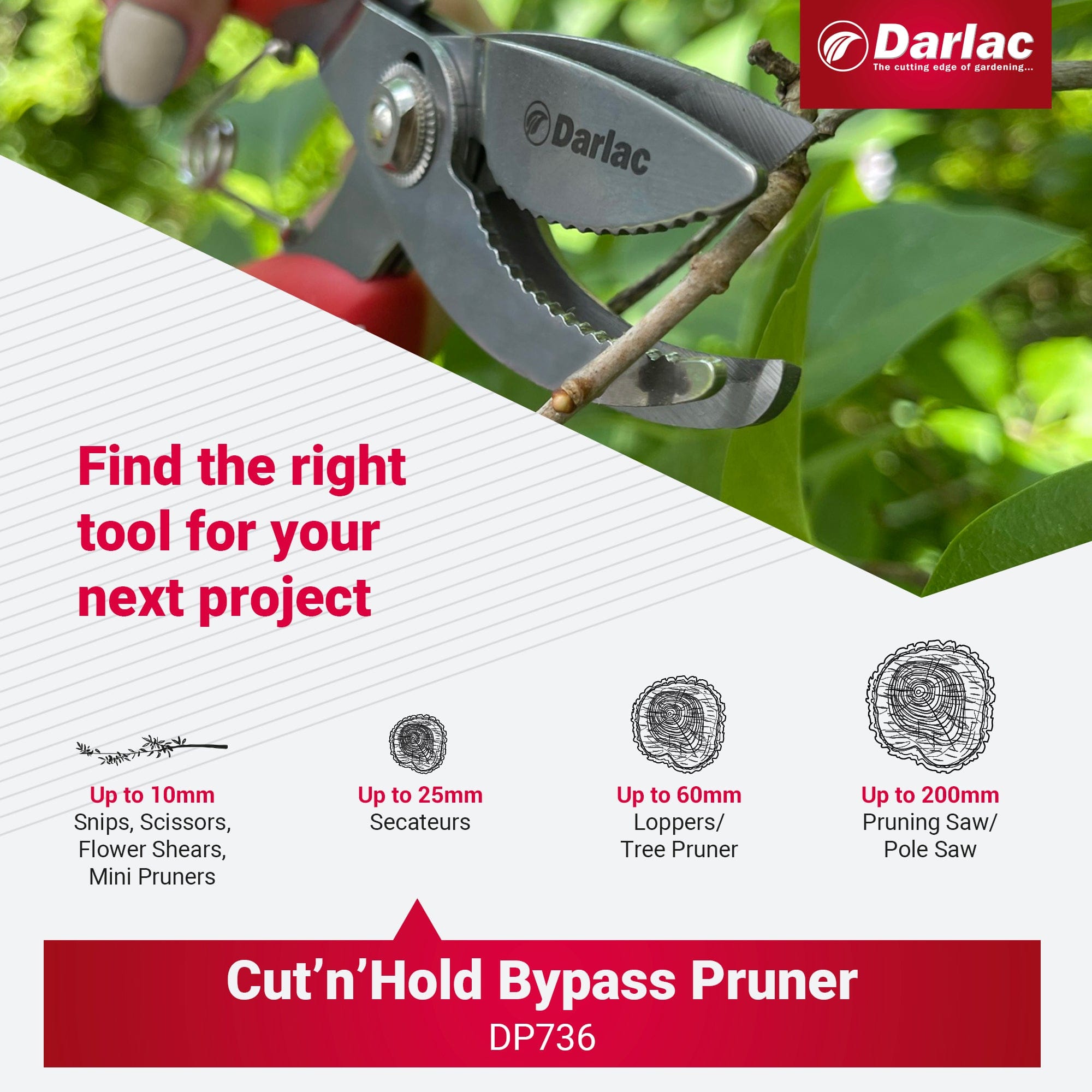 Darlac Cut-n-Hold Bypass Secateurs