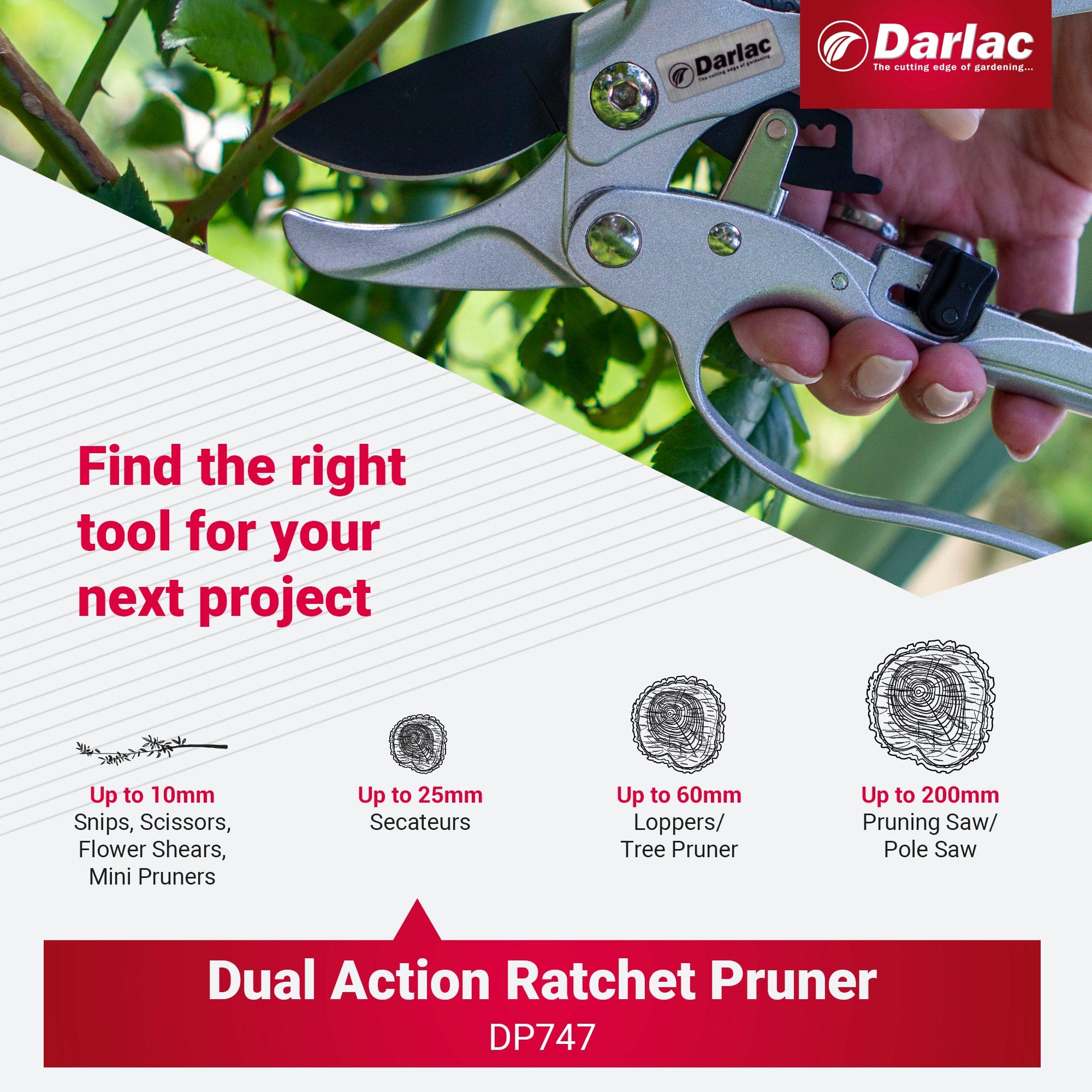 Darlac Dual Action Ratchet Secateur