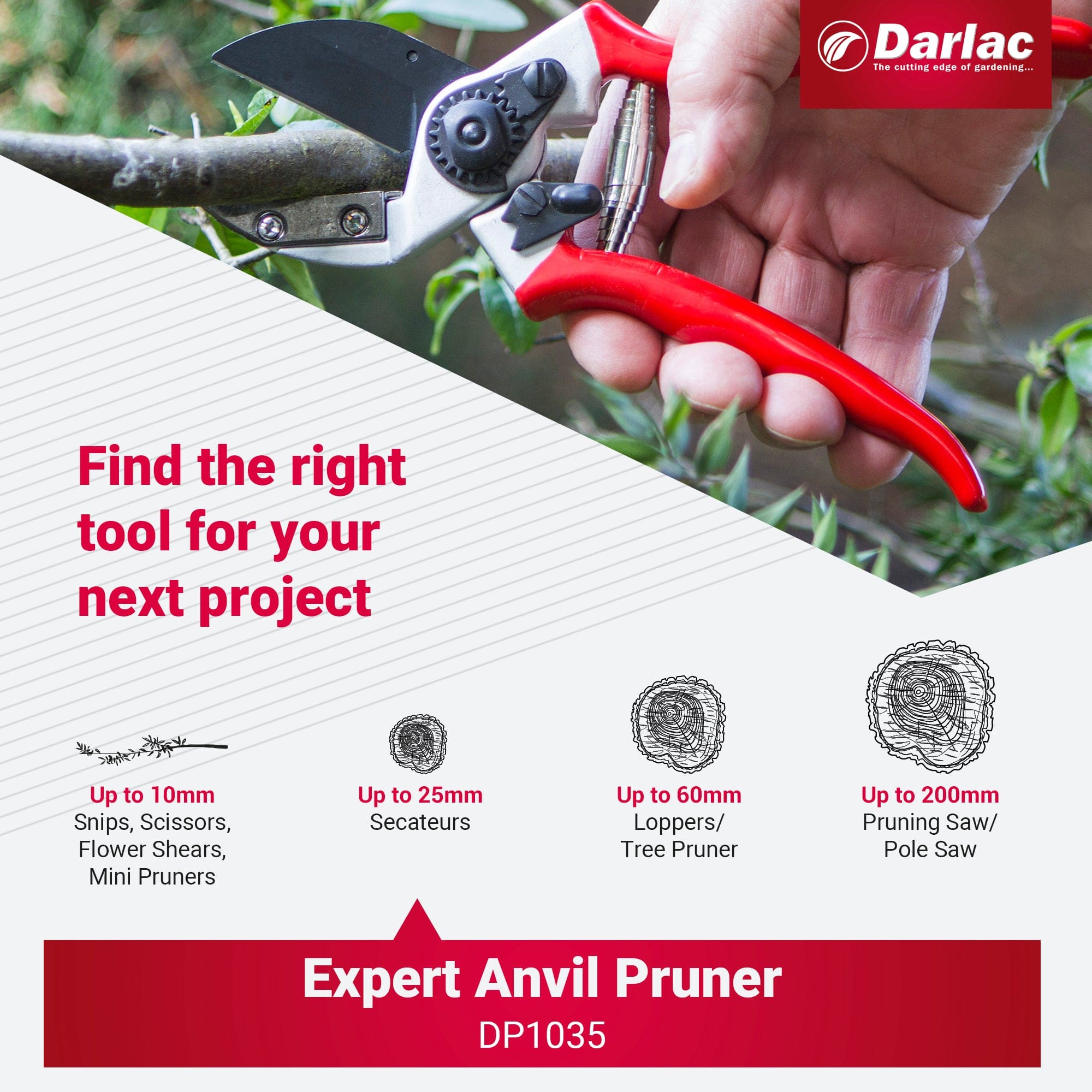 Darlac Expert Anvil Secateur