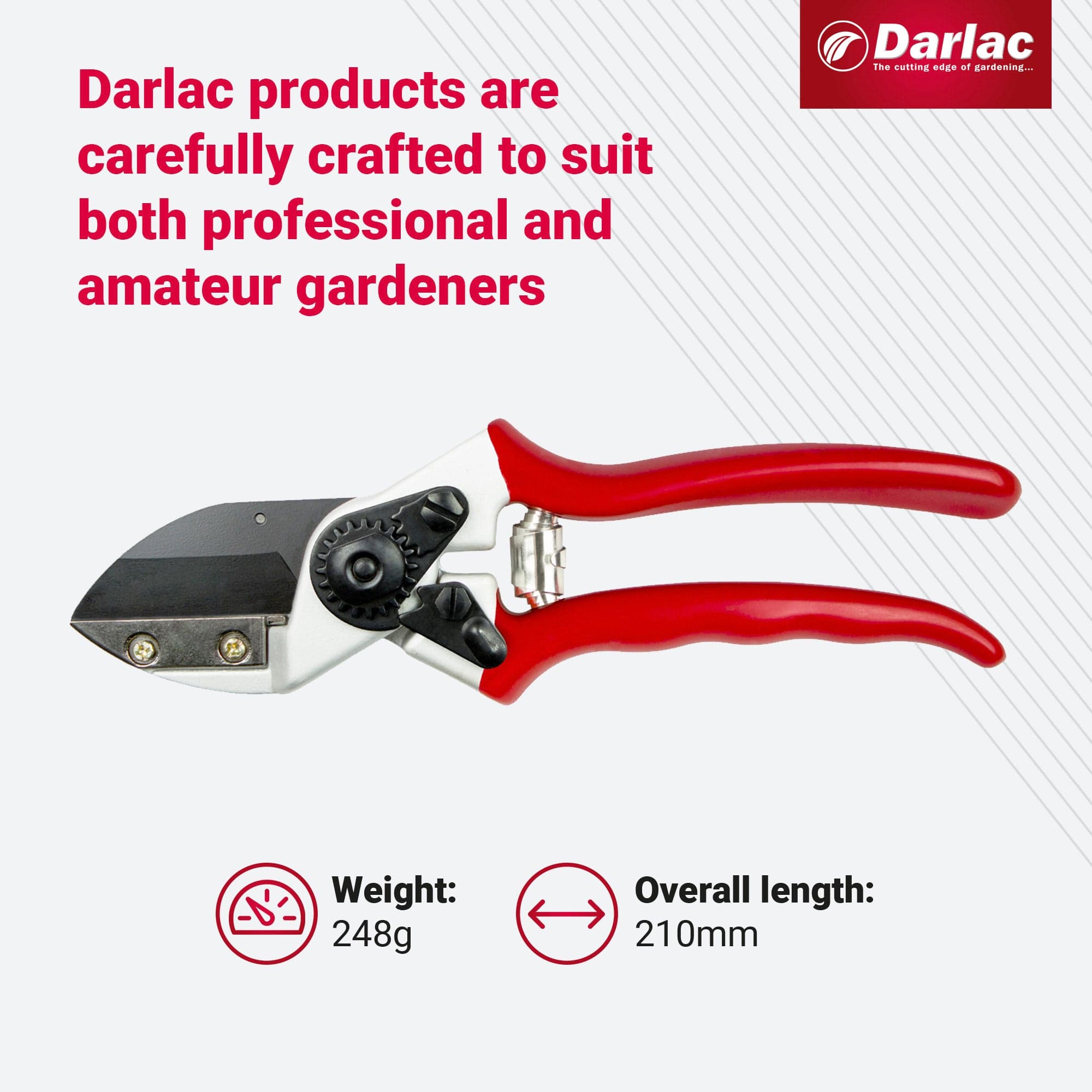 Darlac Expert Anvil Secateur