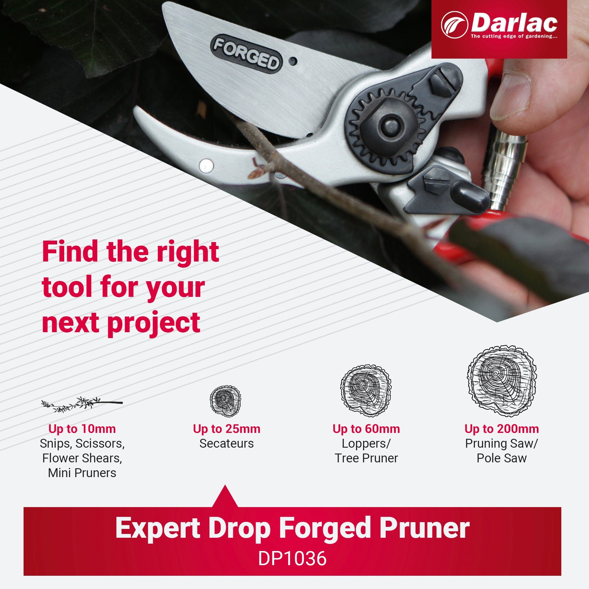 Darlac Expert Drop Forged Secateurs