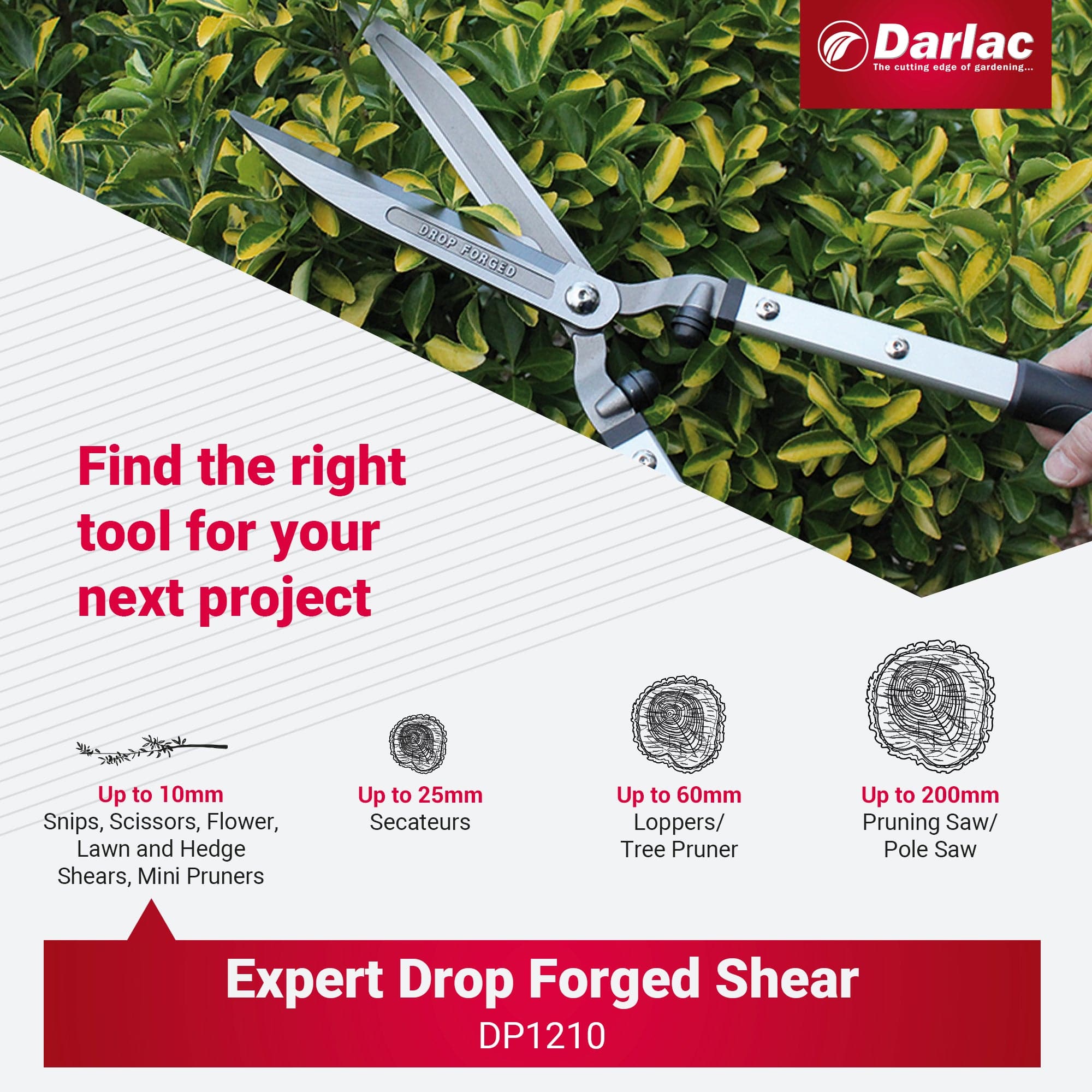 Darlac Expert Drop Forged Shear