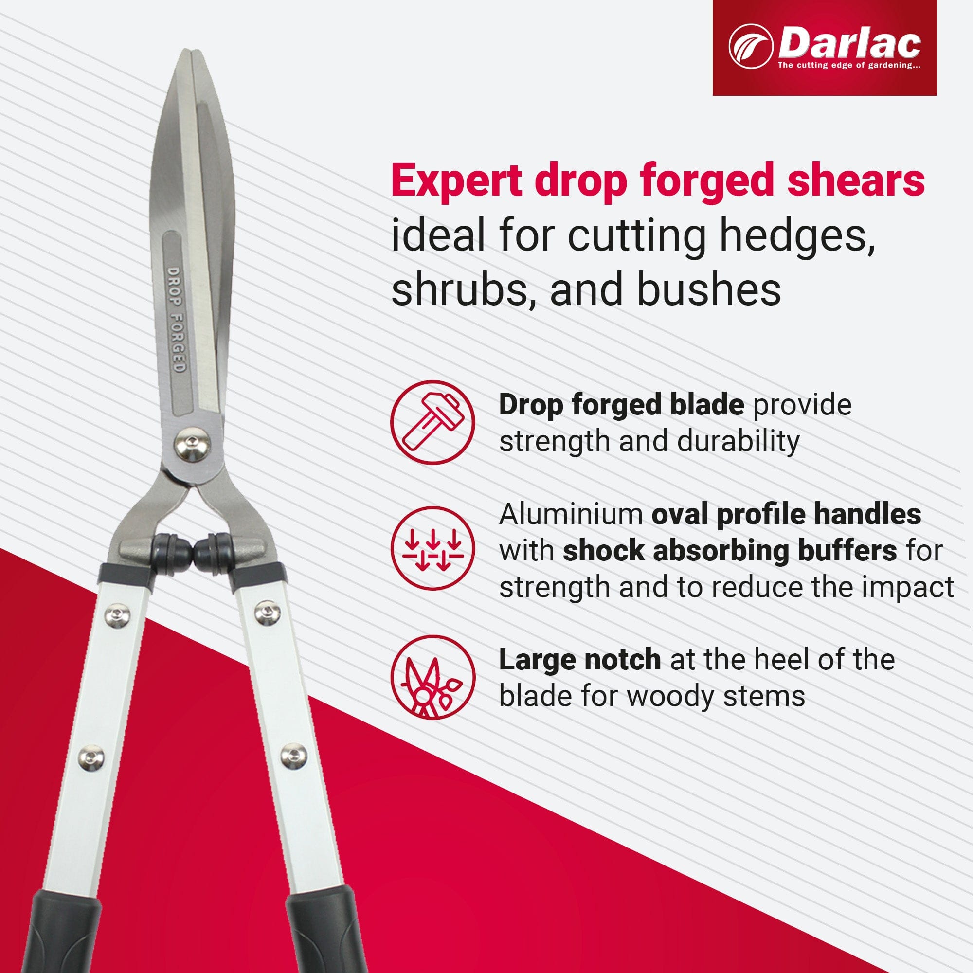 Darlac Expert Drop Forged Shear