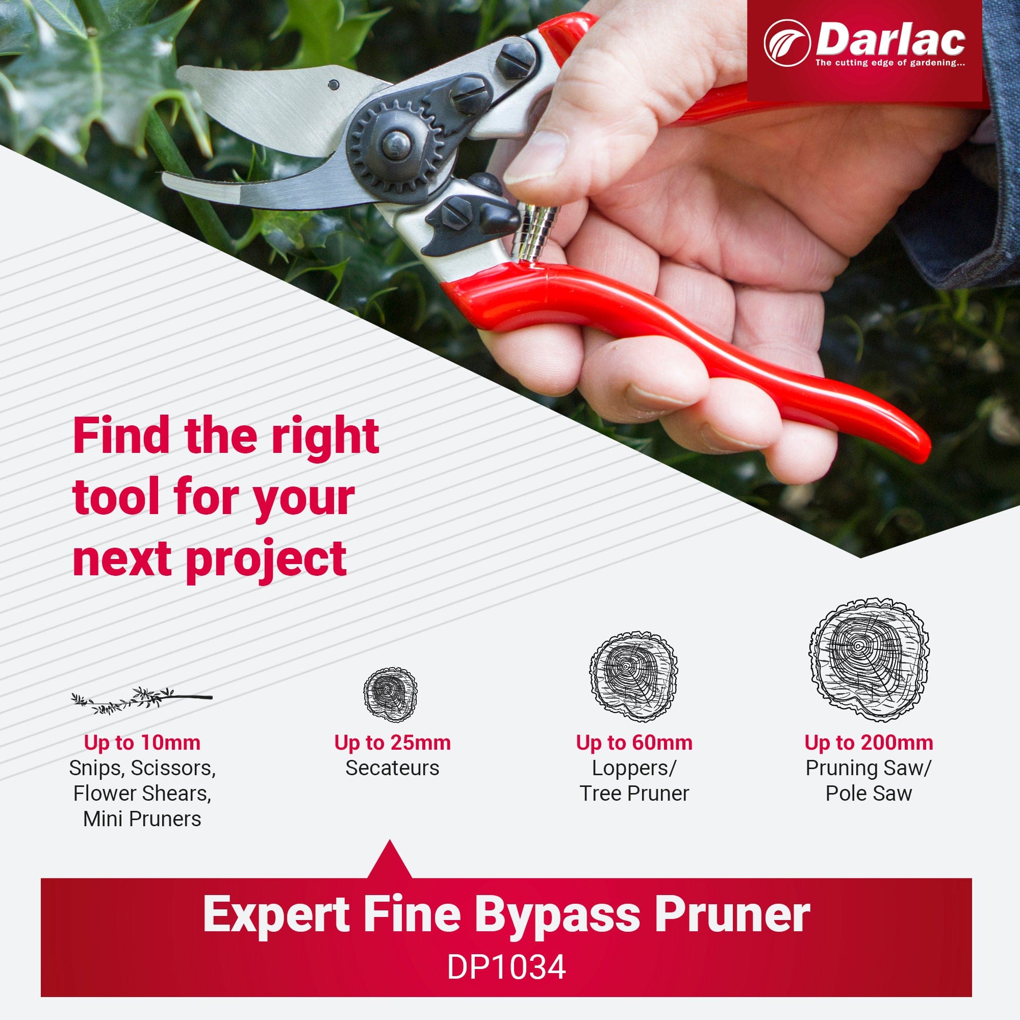 Darlac Expert Fine Bypass Secateur