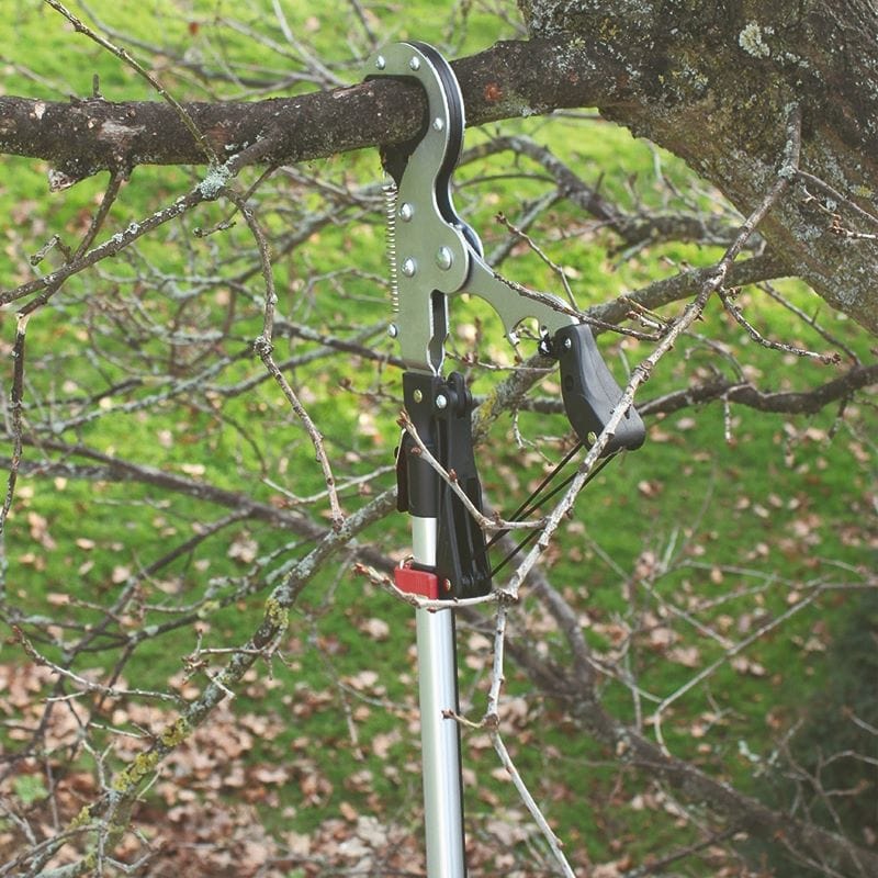 Darlac Expert Geared Anvil Tree Pruner
