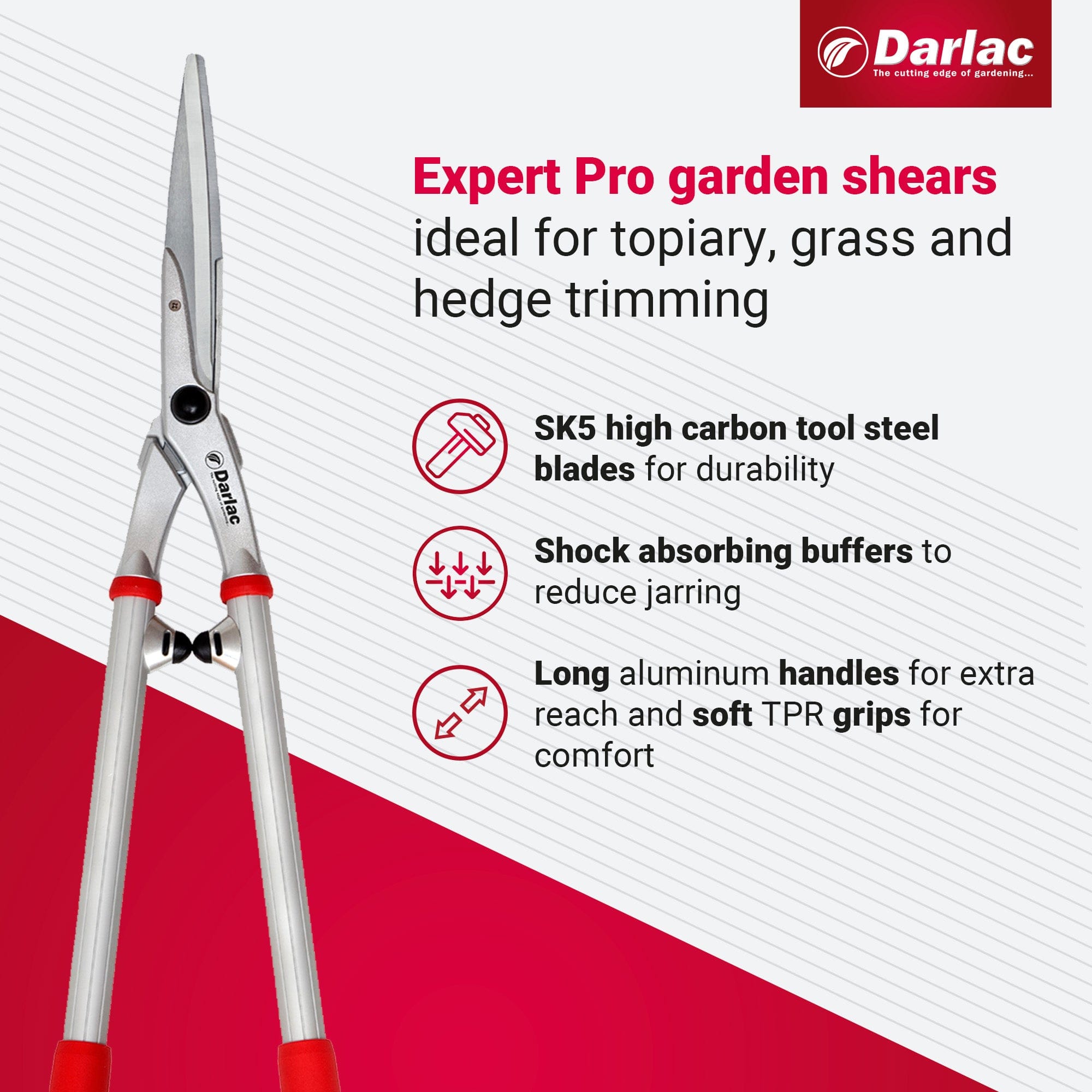 Darlac Expert Superior Pro Shear