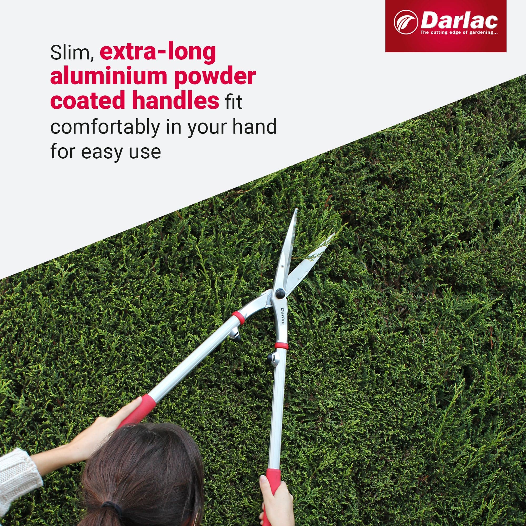 Darlac Expert Superior Pro Shear