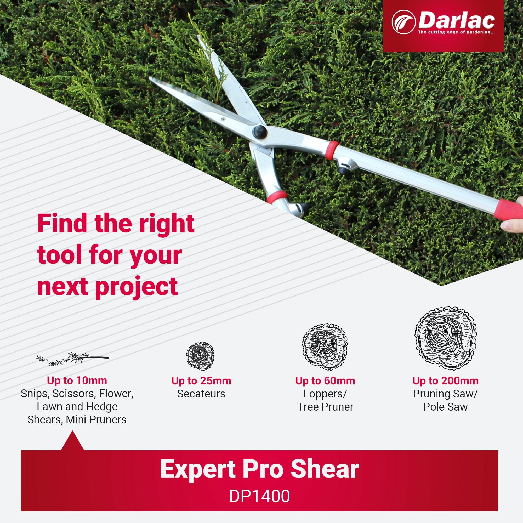 Darlac Expert Superior Pro Shear