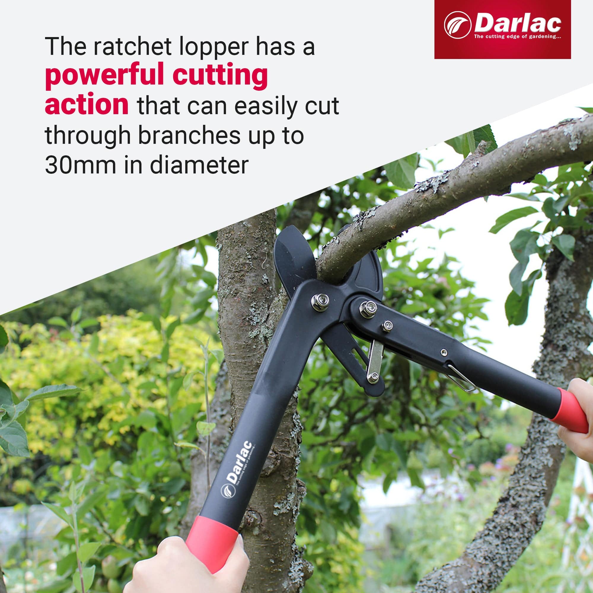 Darlac Handy Ratchet Lopper