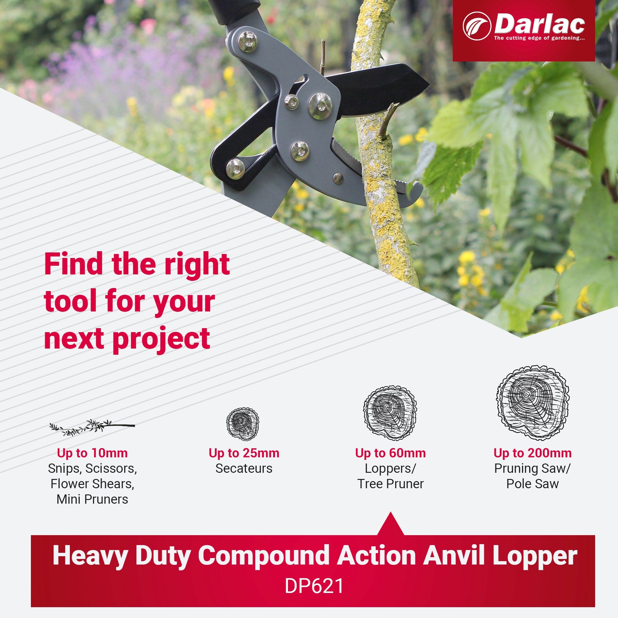 Darlac Heavy Duty Compound Action Anvil Lopper