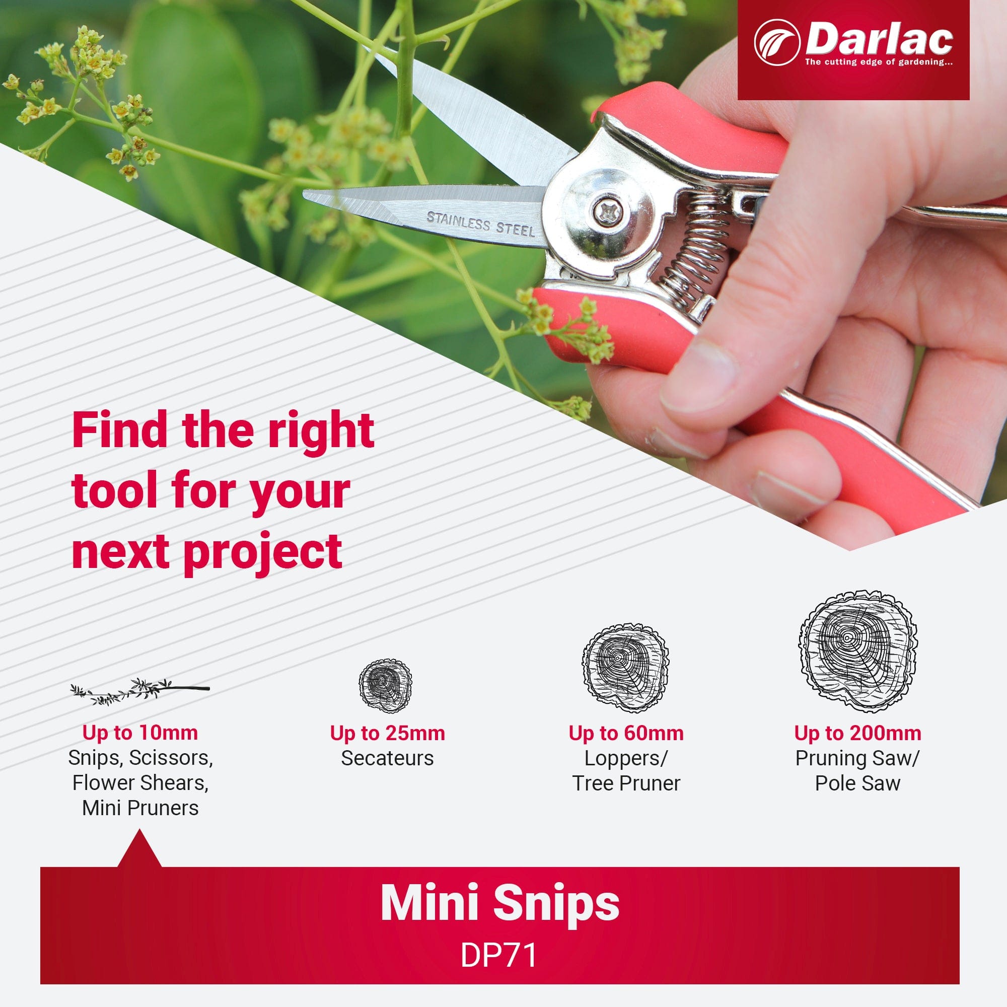 Darlac Mini Snips