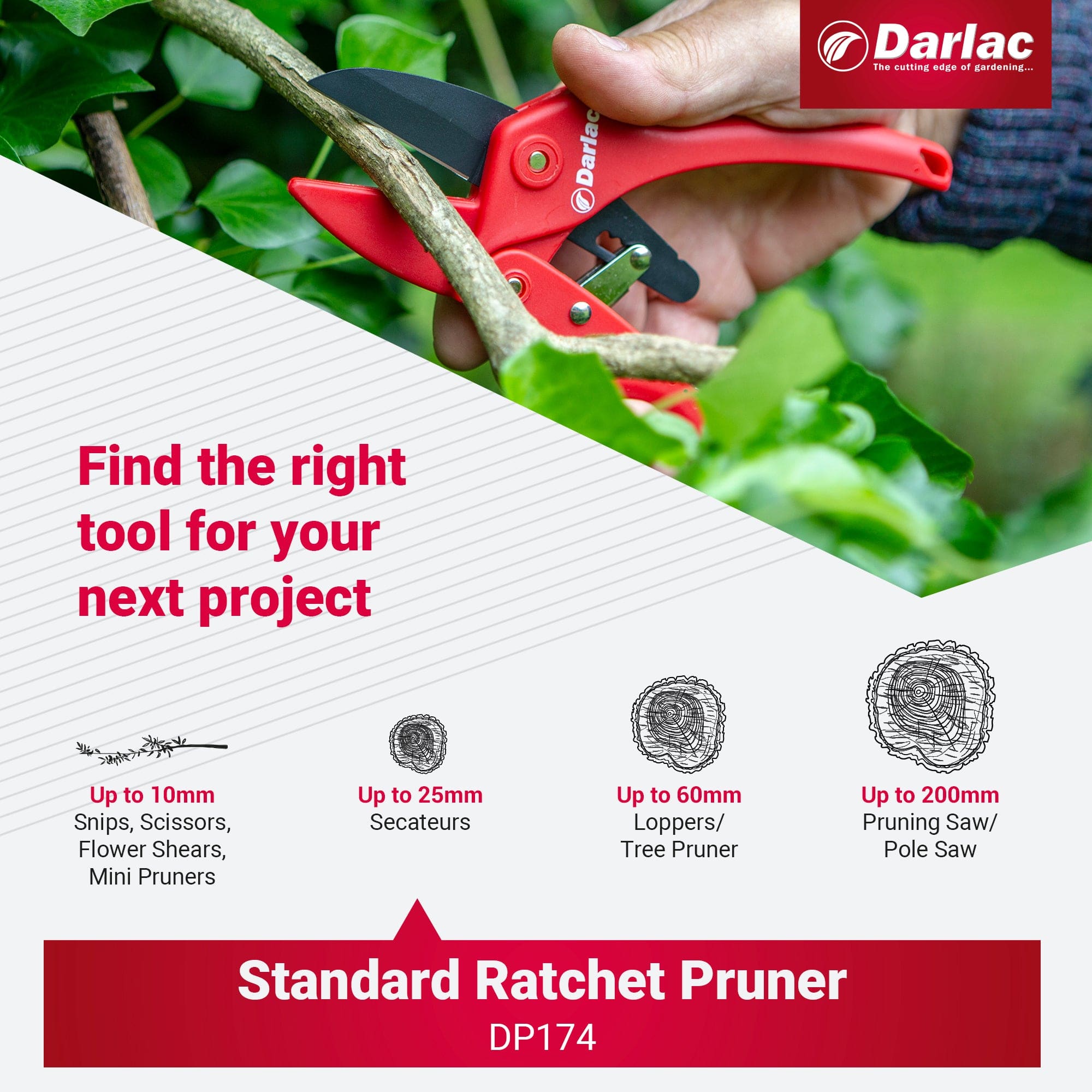 Darlac Standard Ratchet Secateurs