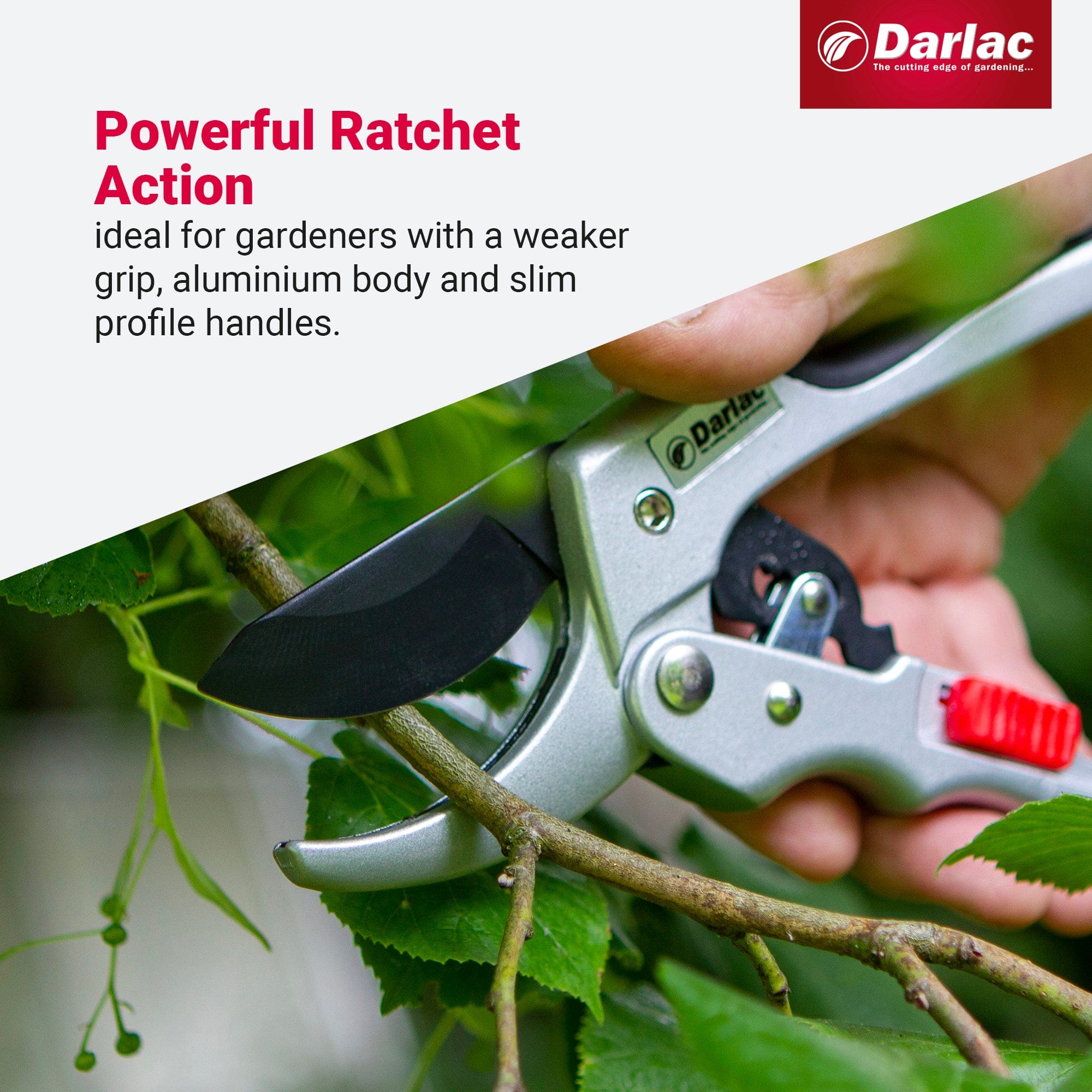 Darlac Super Classic Ratchet