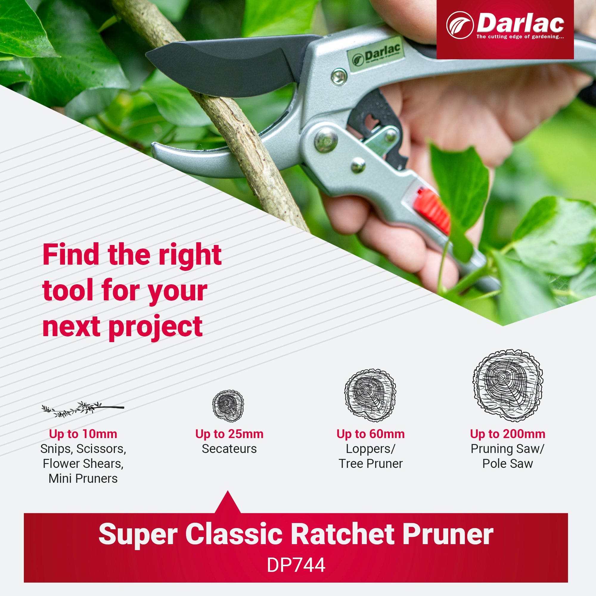 Darlac Super Classic Ratchet