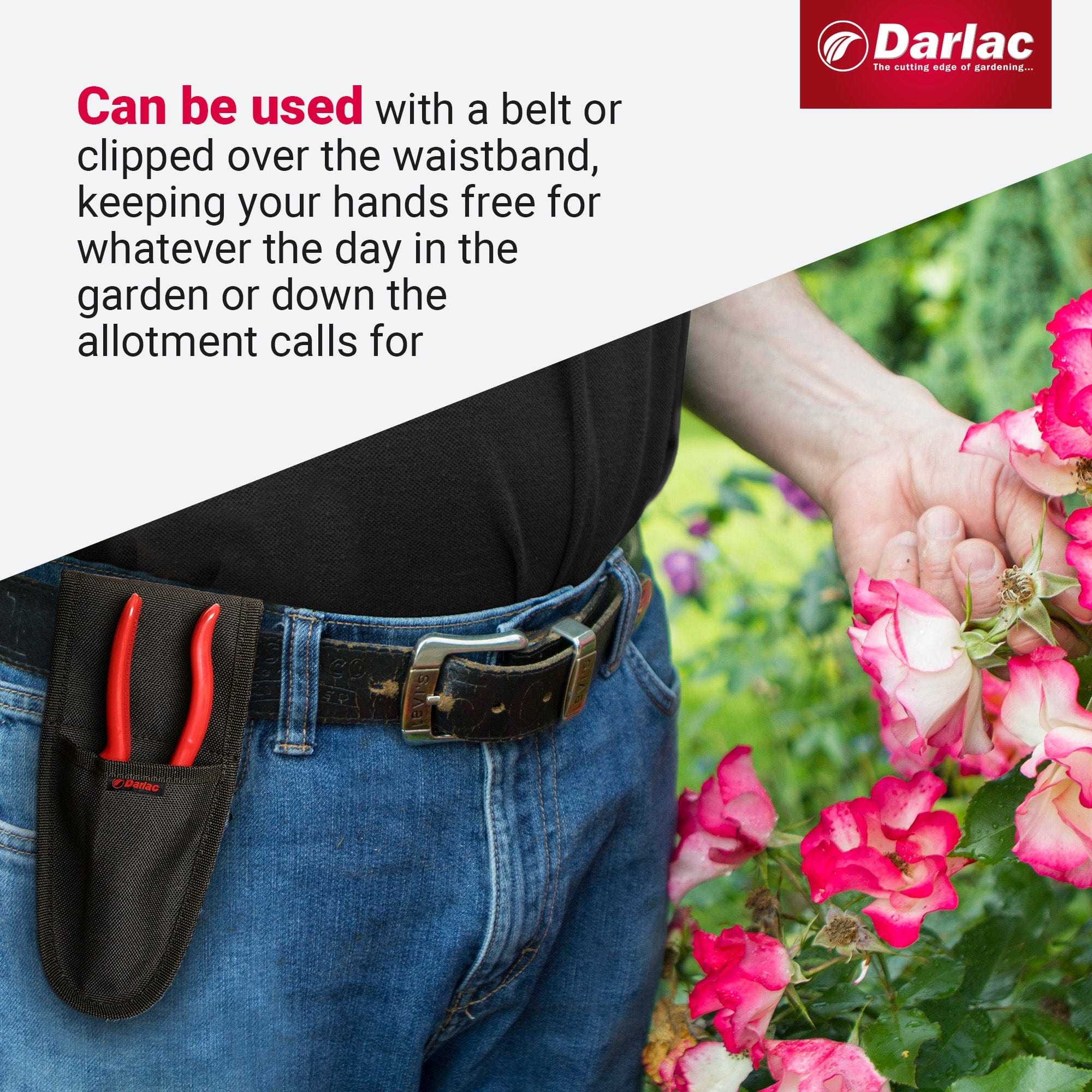 Darlac Tool Holster