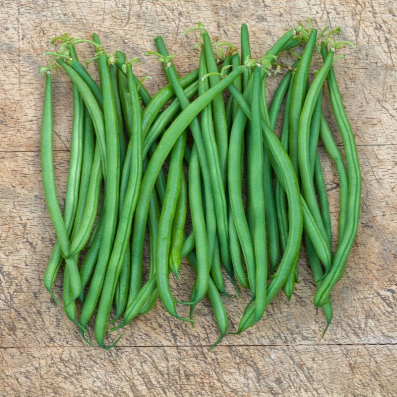 Dwarf French Bean Elba